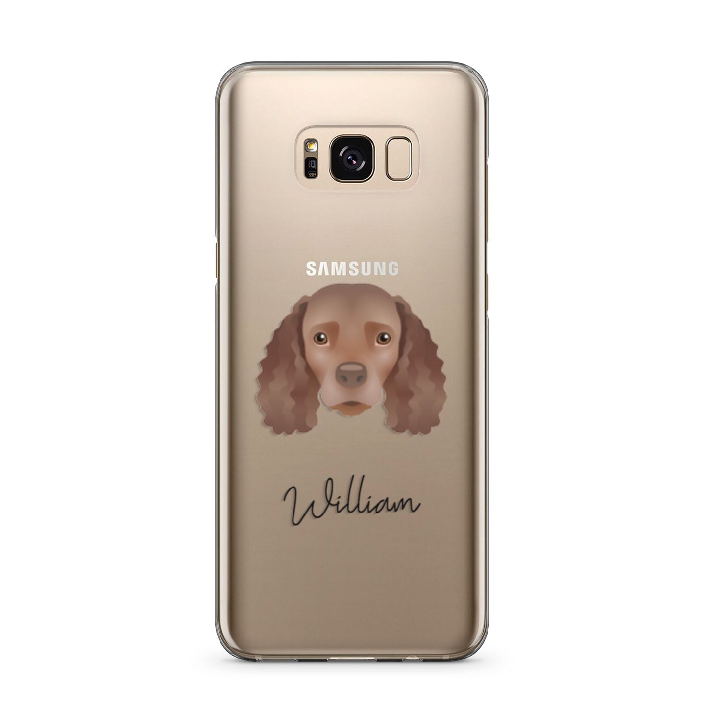 American Water Spaniel Personalised Samsung Galaxy S8 Plus Case