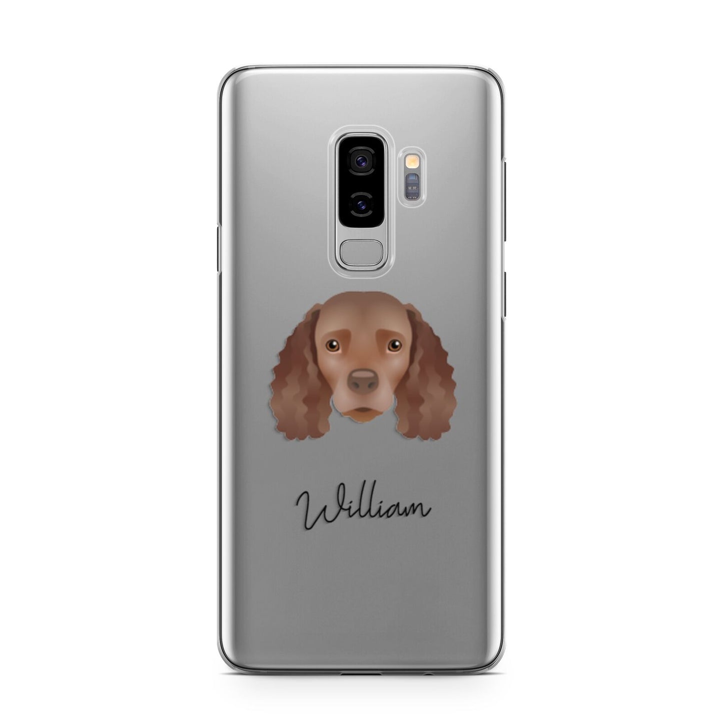American Water Spaniel Personalised Samsung Galaxy S9 Plus Case on Silver phone