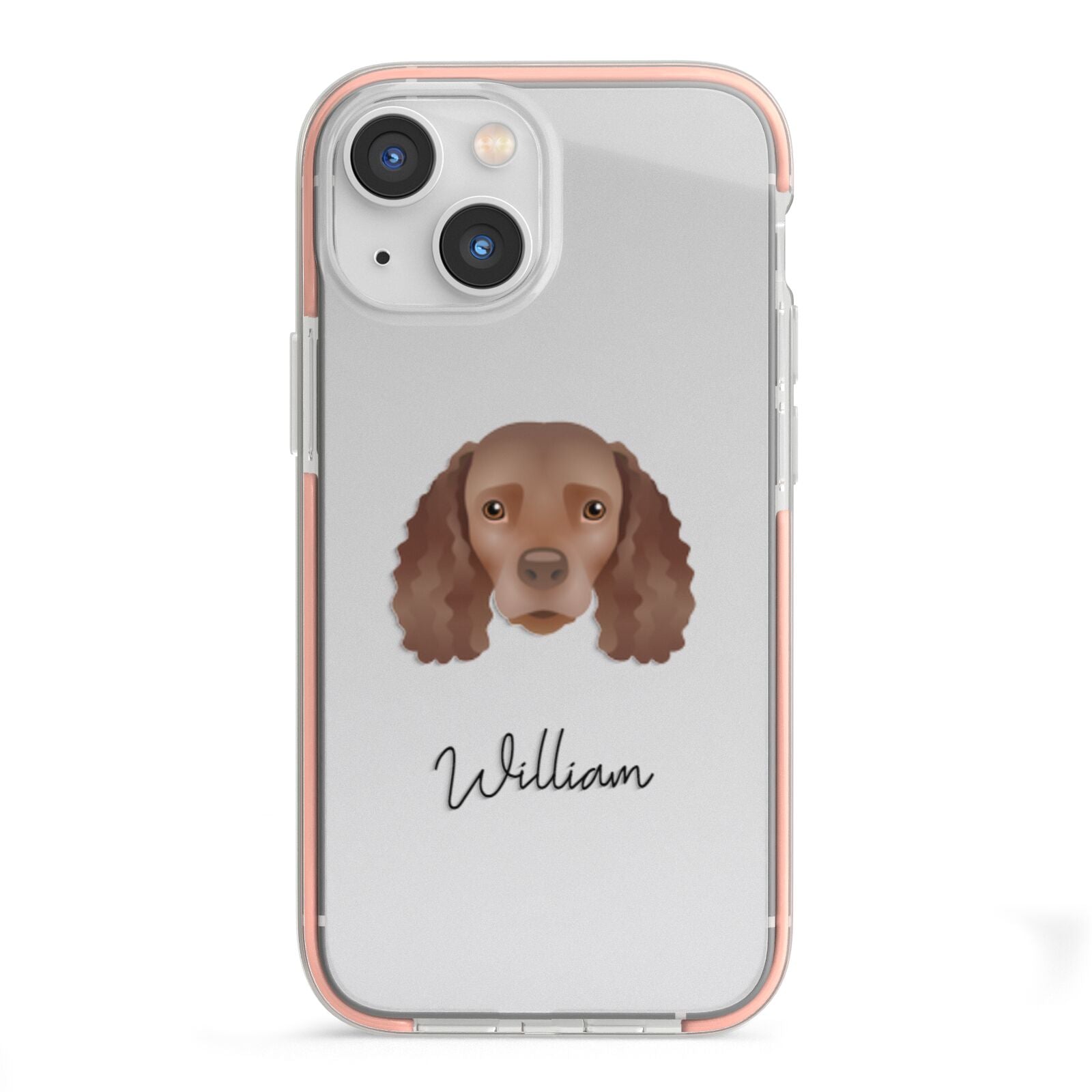 American Water Spaniel Personalised iPhone 13 Mini TPU Impact Case with Pink Edges