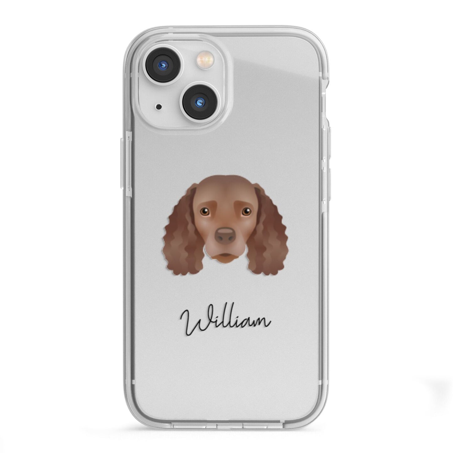 American Water Spaniel Personalised iPhone 13 Mini TPU Impact Case with White Edges