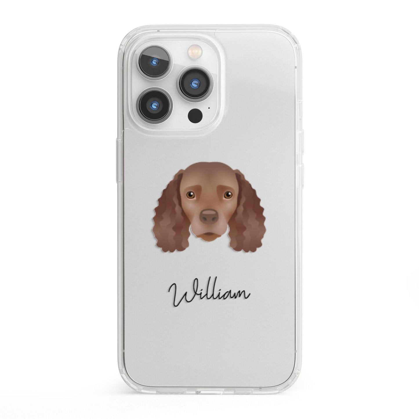 American Water Spaniel Personalised iPhone 13 Pro Clear Bumper Case