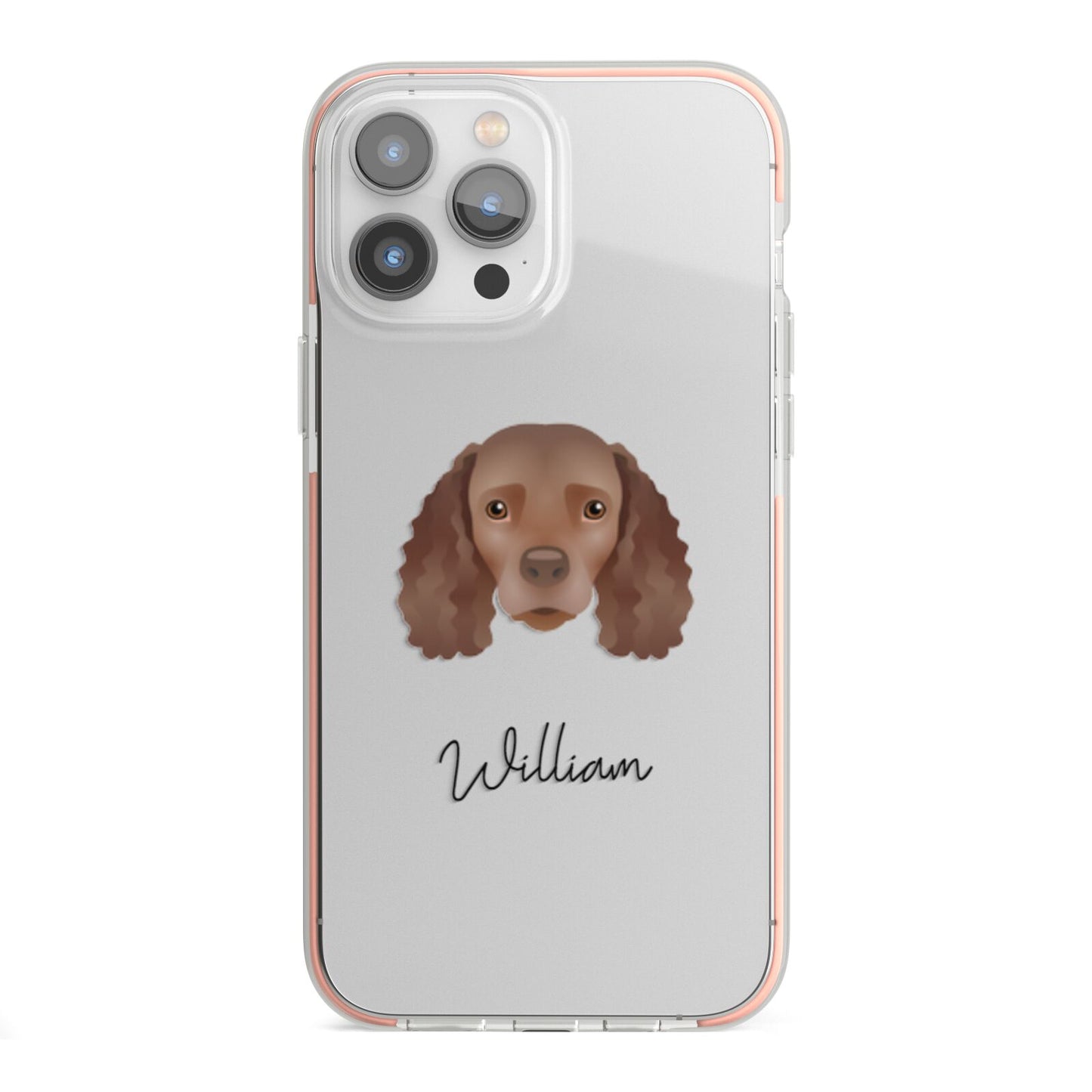 American Water Spaniel Personalised iPhone 13 Pro Max TPU Impact Case with Pink Edges