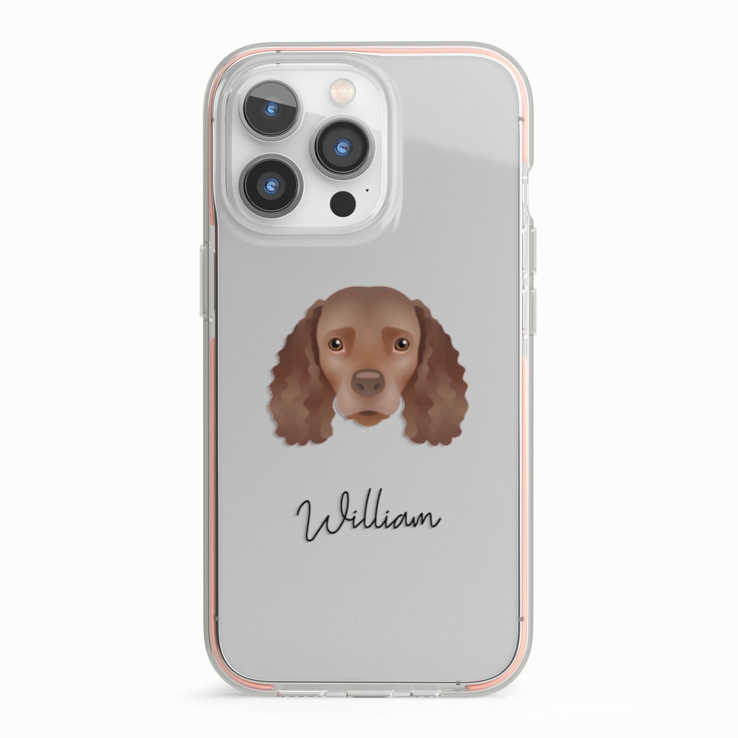American Water Spaniel Personalised iPhone 13 Pro TPU Impact Case with Pink Edges