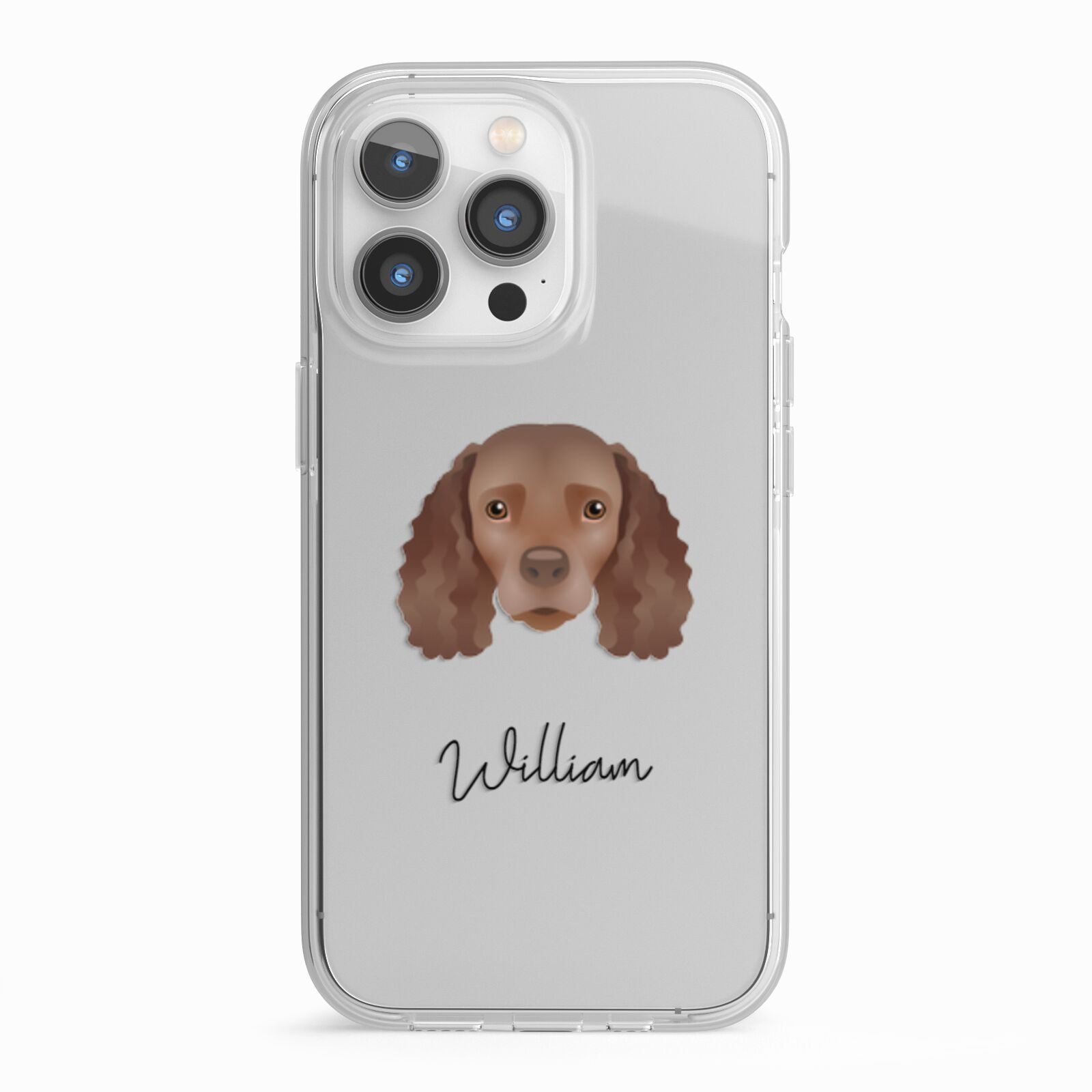 American Water Spaniel Personalised iPhone 13 Pro TPU Impact Case with White Edges