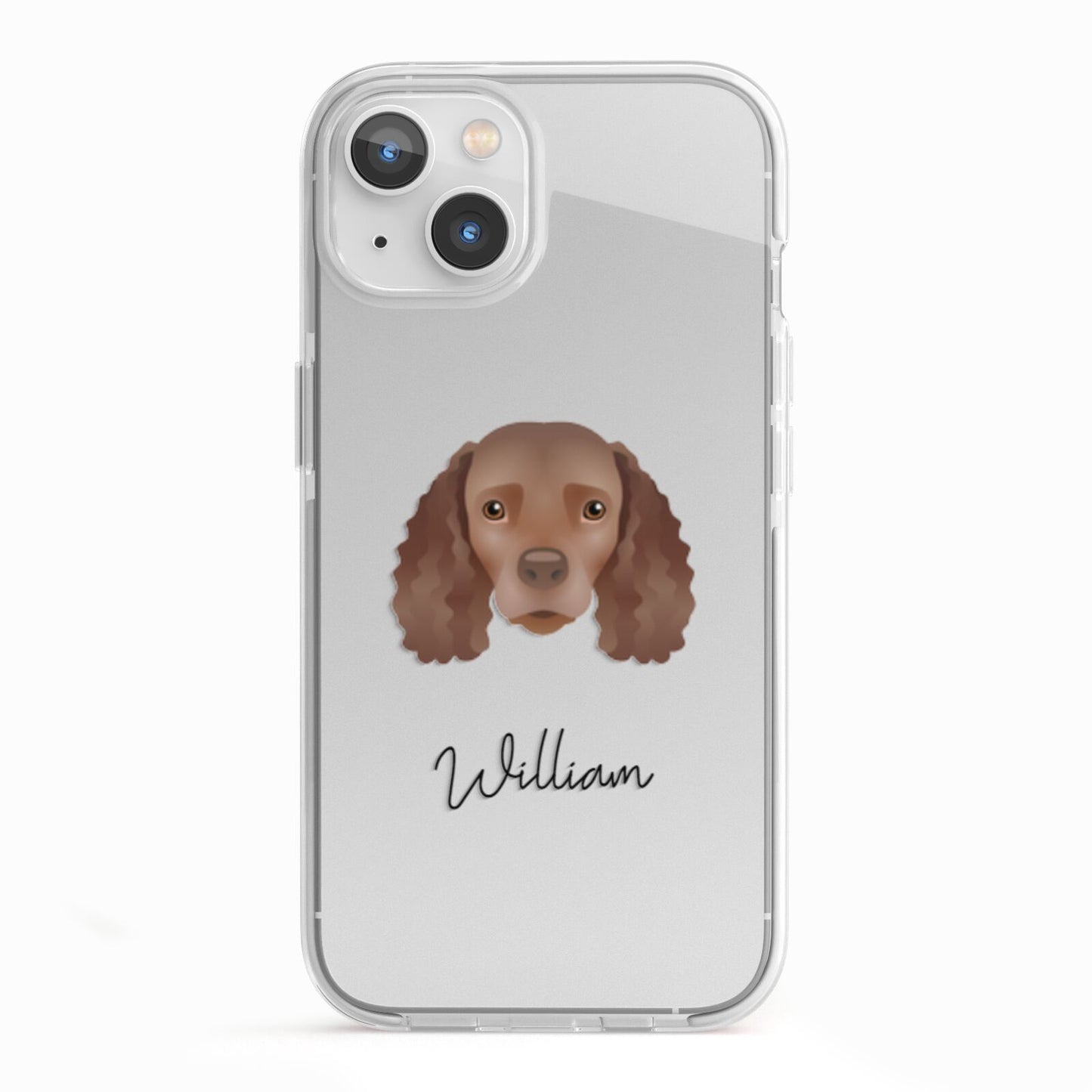 American Water Spaniel Personalised iPhone 13 TPU Impact Case with White Edges