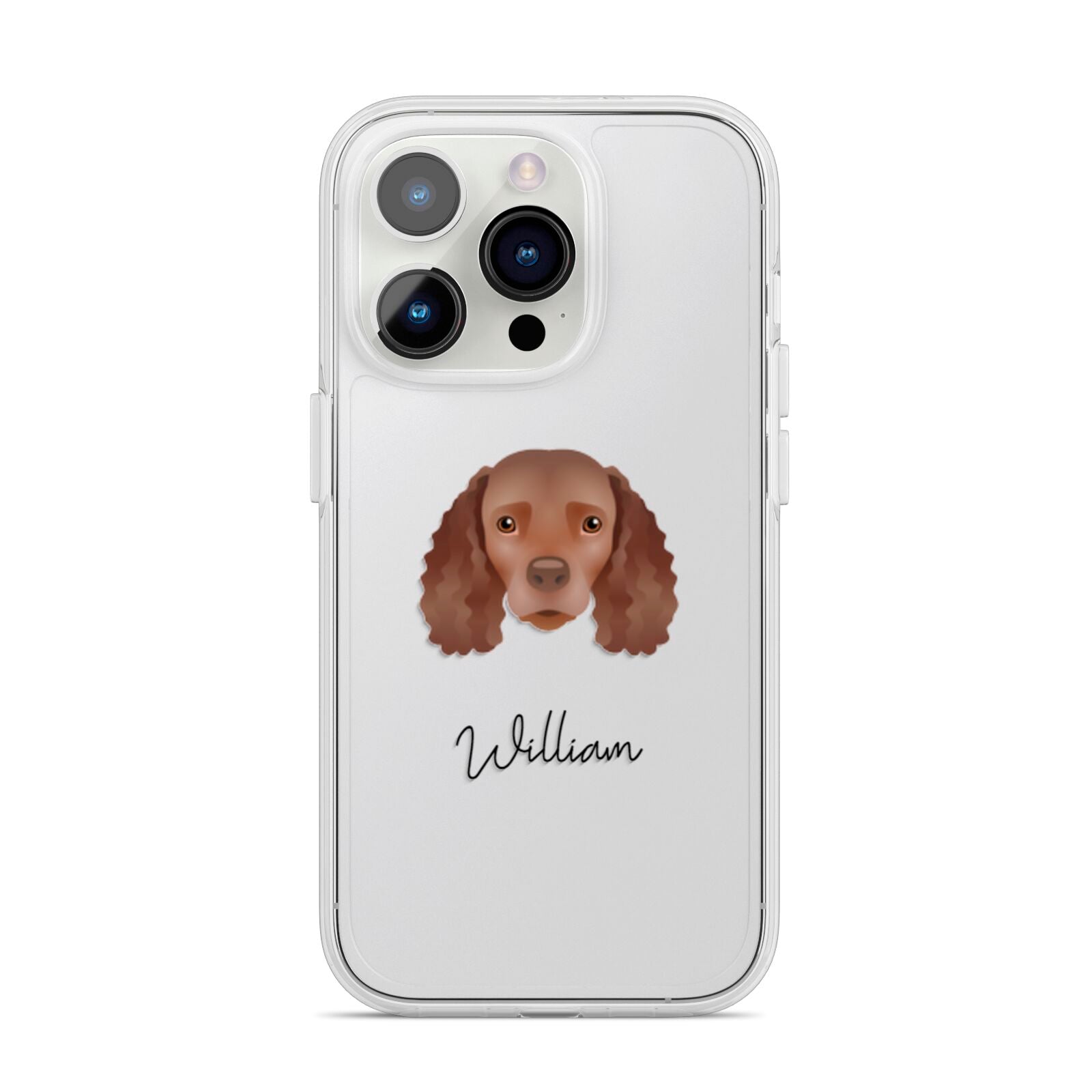 American Water Spaniel Personalised iPhone 14 Pro Clear Tough Case Silver