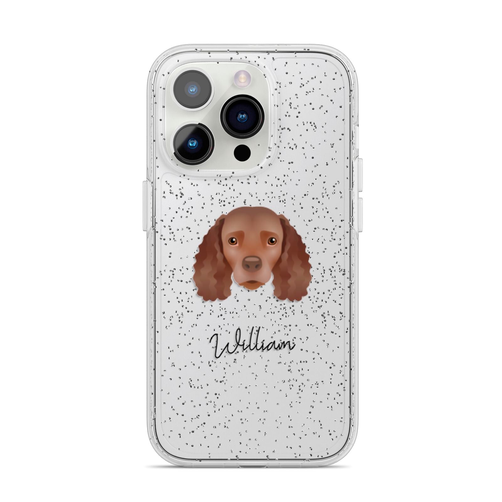 American Water Spaniel Personalised iPhone 14 Pro Glitter Tough Case Silver