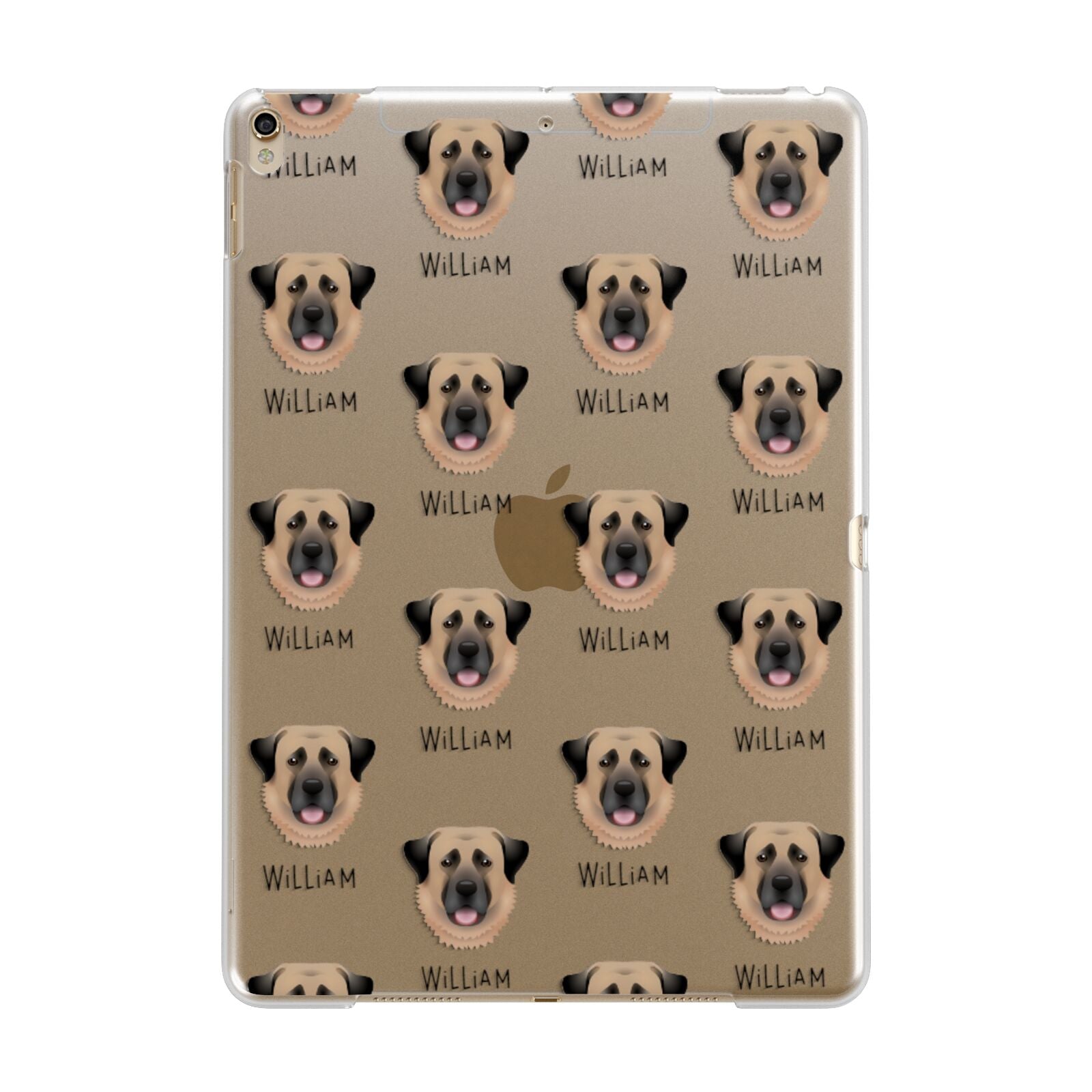 Anatolian Shepherd Dog Icon with Name Apple iPad Gold Case
