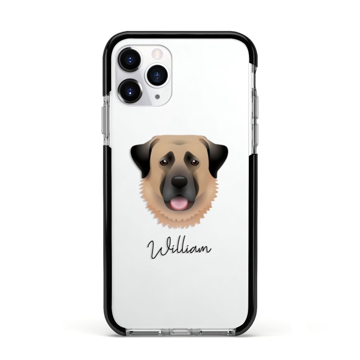 Anatolian Shepherd Dog Personalised Apple iPhone 11 Pro in Silver with Black Impact Case