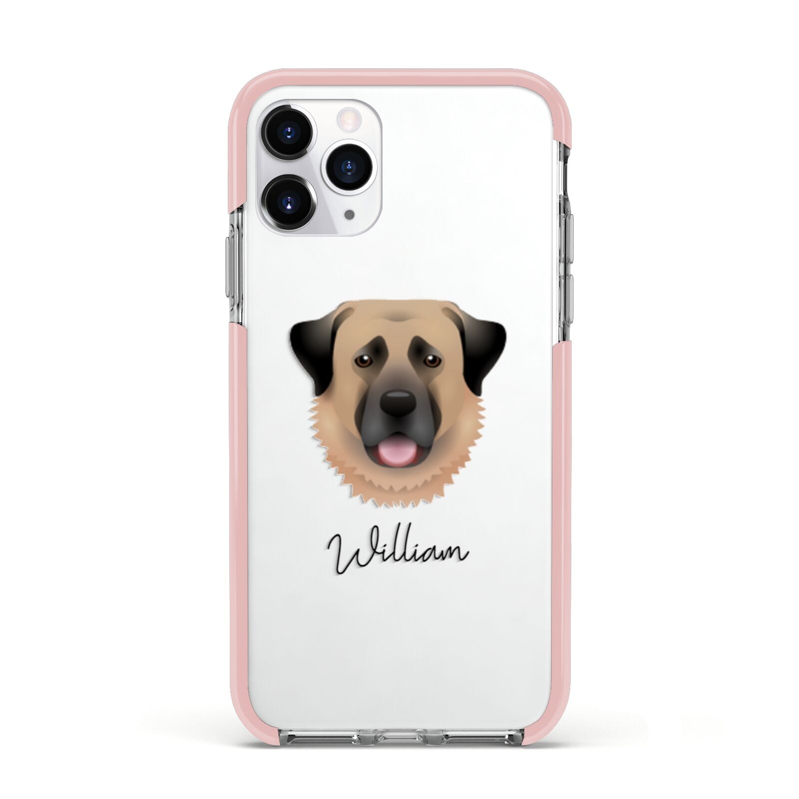 Anatolian Shepherd Dog Personalised Apple iPhone 11 Pro in Silver with Pink Impact Case