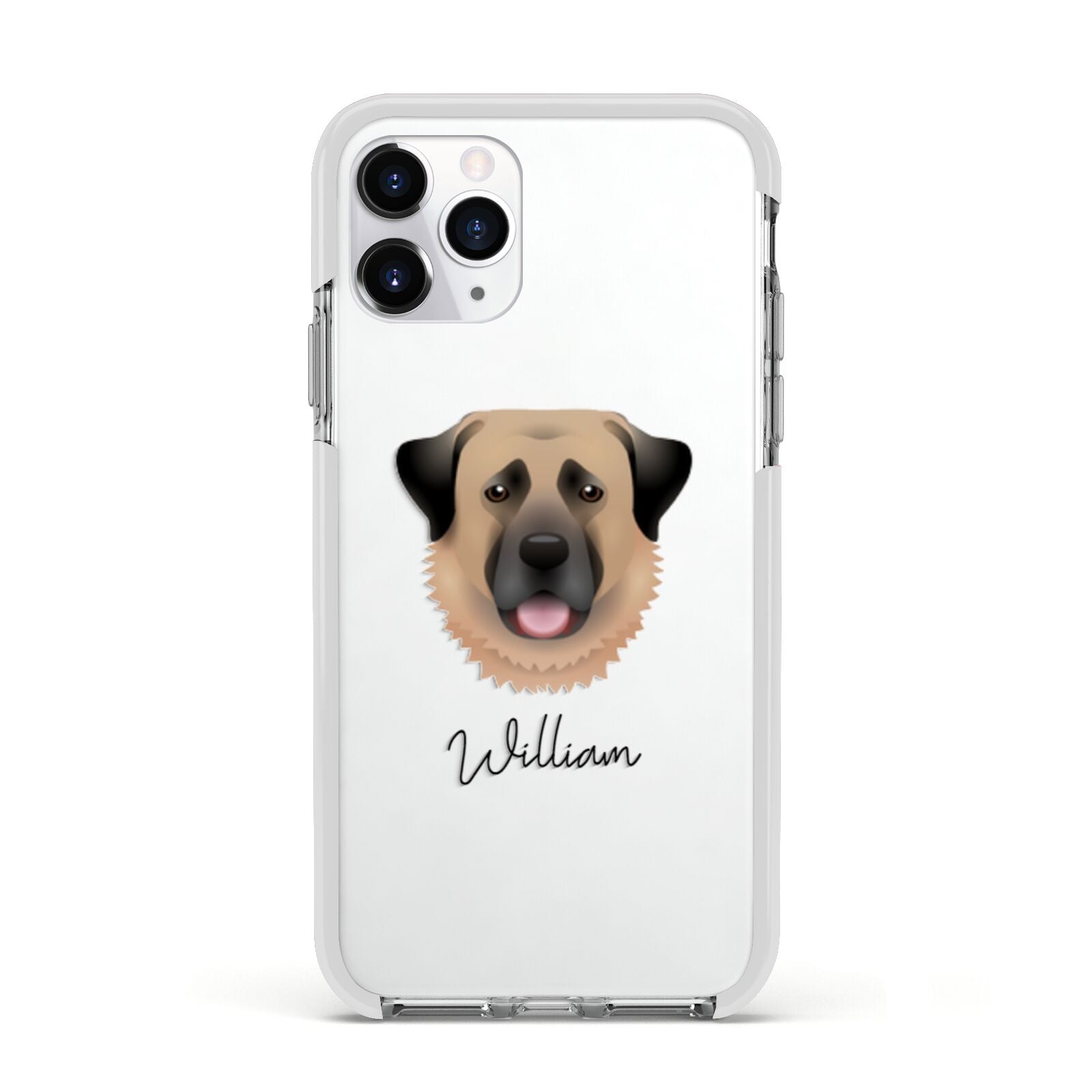 Anatolian Shepherd Dog Personalised Apple iPhone 11 Pro in Silver with White Impact Case