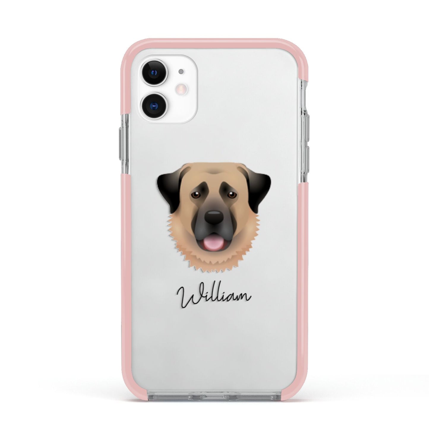 Anatolian Shepherd Dog Personalised Apple iPhone 11 in White with Pink Impact Case