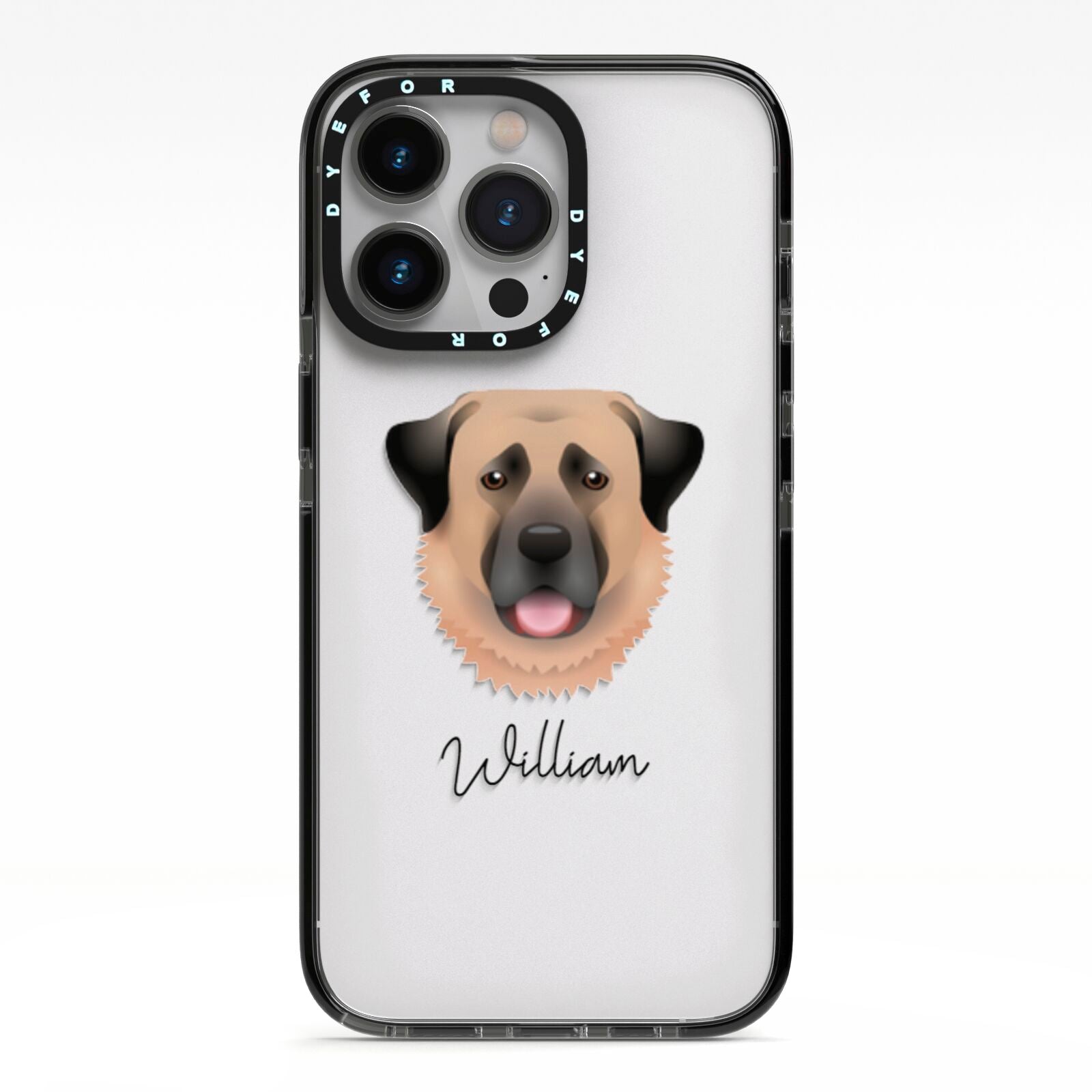 Anatolian Shepherd Dog Personalised iPhone 13 Pro Black Impact Case on Silver phone