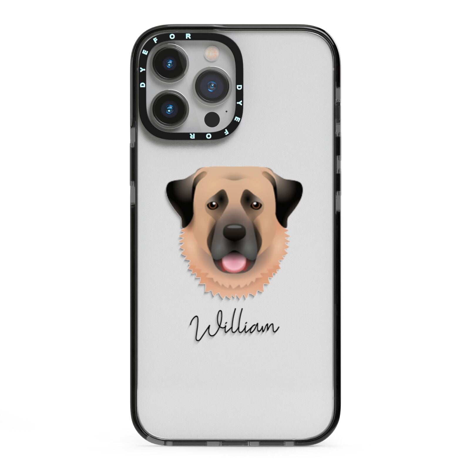 Anatolian Shepherd Dog Personalised iPhone 13 Pro Max Black Impact Case on Silver phone