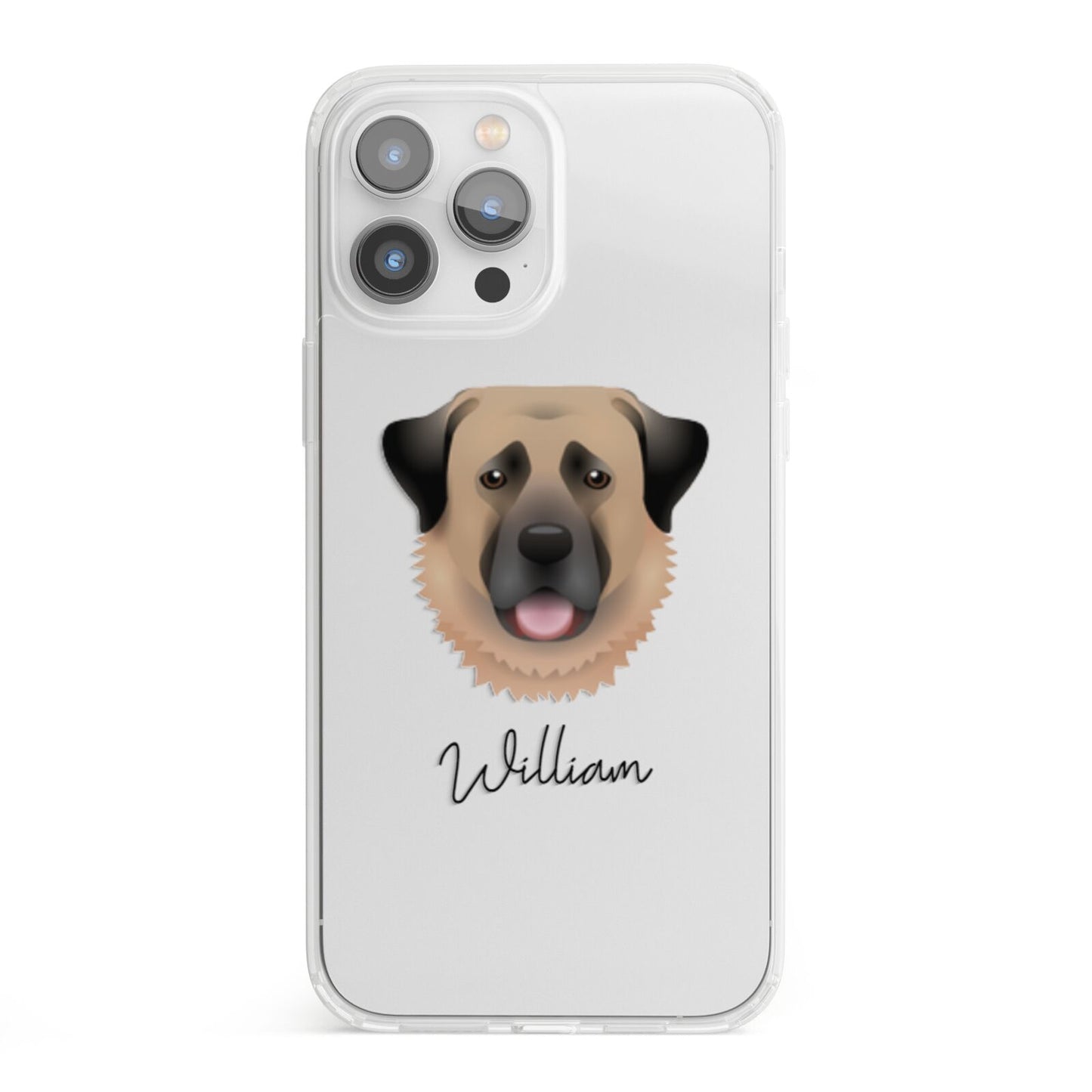 Anatolian Shepherd Dog Personalised iPhone 13 Pro Max Clear Bumper Case