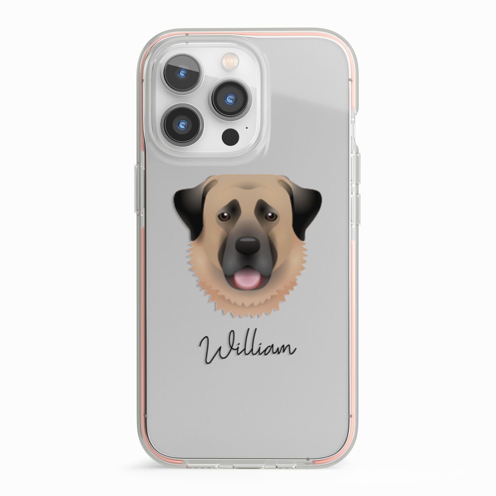 Anatolian Shepherd Dog Personalised iPhone 13 Pro TPU Impact Case with Pink Edges