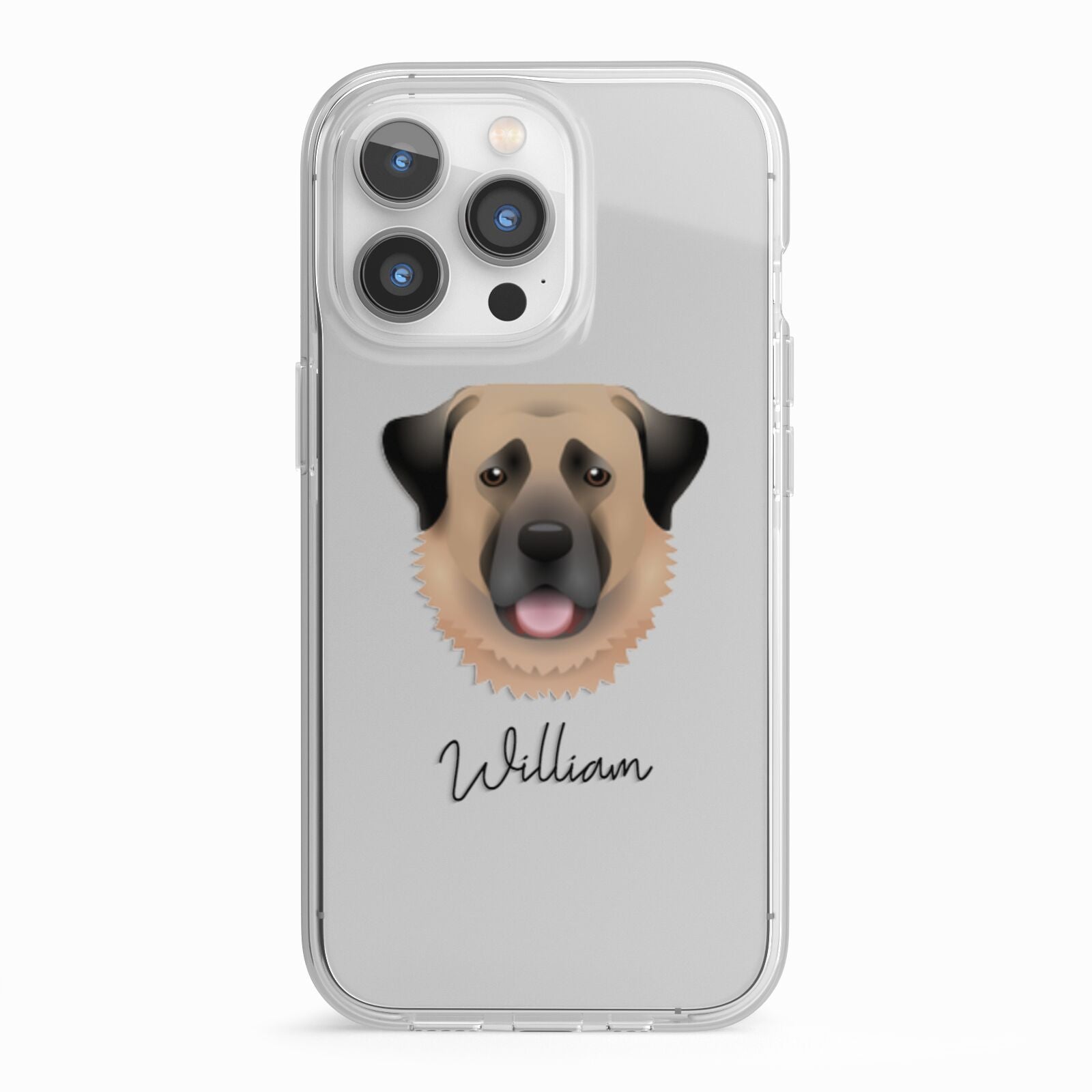 Anatolian Shepherd Dog Personalised iPhone 13 Pro TPU Impact Case with White Edges