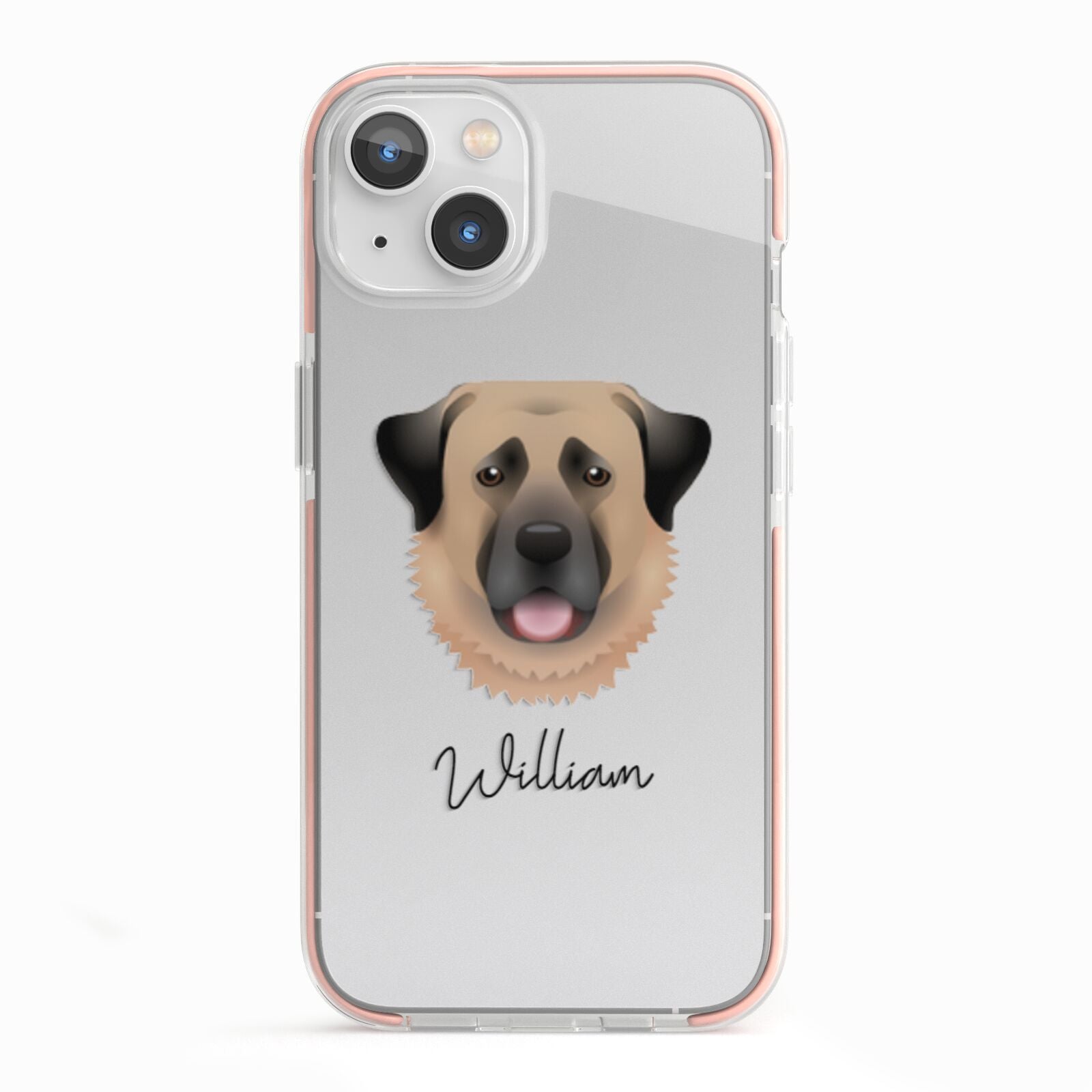 Anatolian Shepherd Dog Personalised iPhone 13 TPU Impact Case with Pink Edges