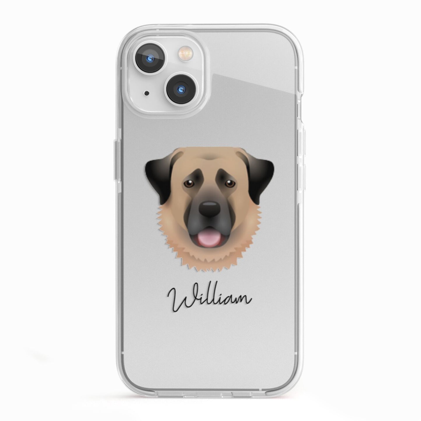 Anatolian Shepherd Dog Personalised iPhone 13 TPU Impact Case with White Edges