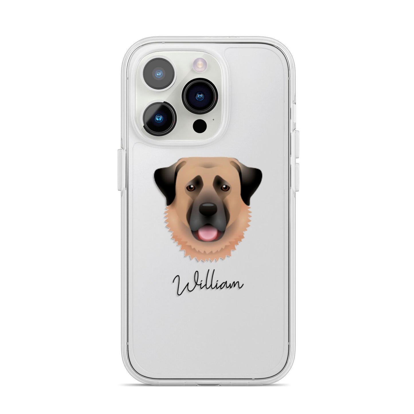 Anatolian Shepherd Dog Personalised iPhone 14 Pro Clear Tough Case Silver
