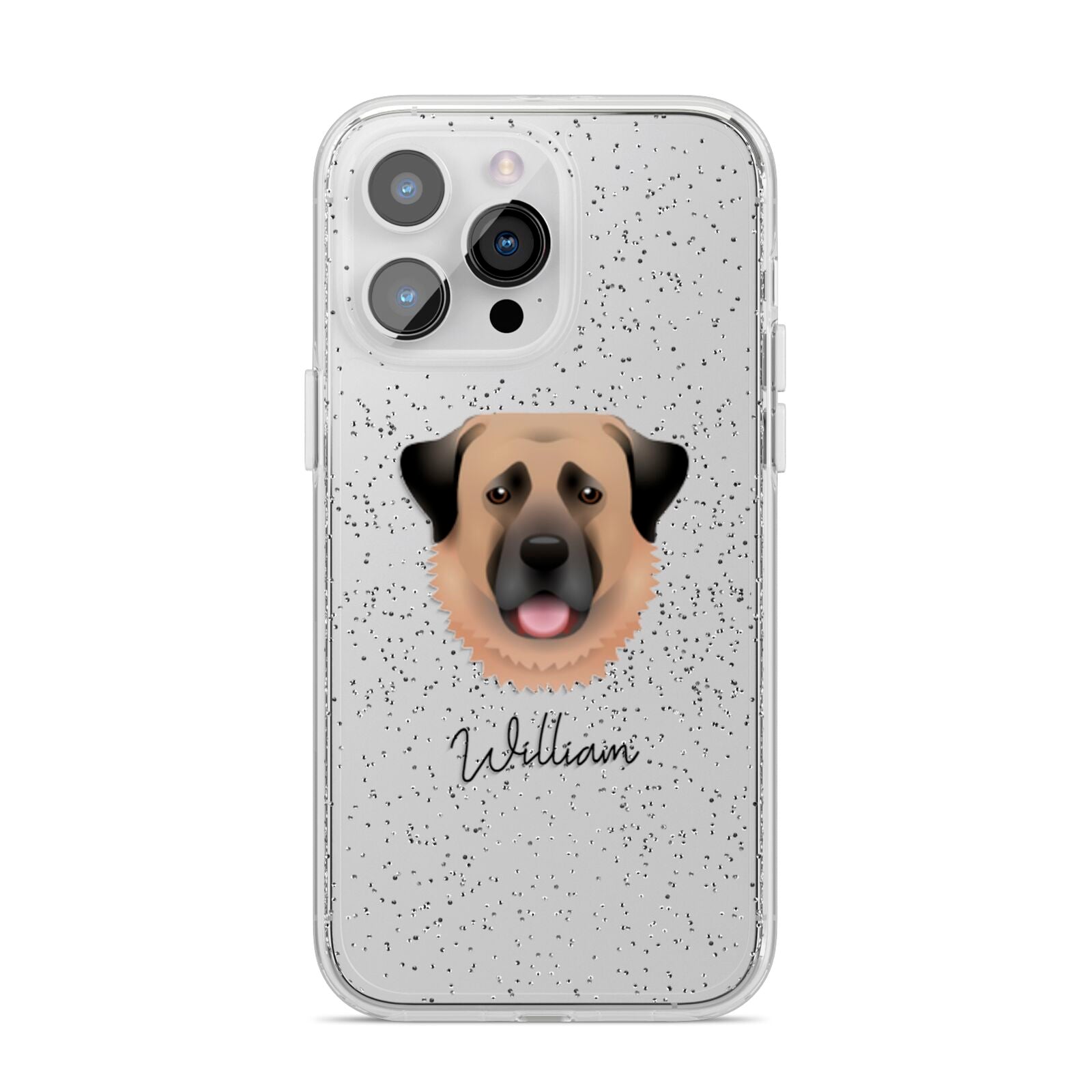 Anatolian Shepherd Dog Personalised iPhone 14 Pro Max Glitter Tough Case Silver
