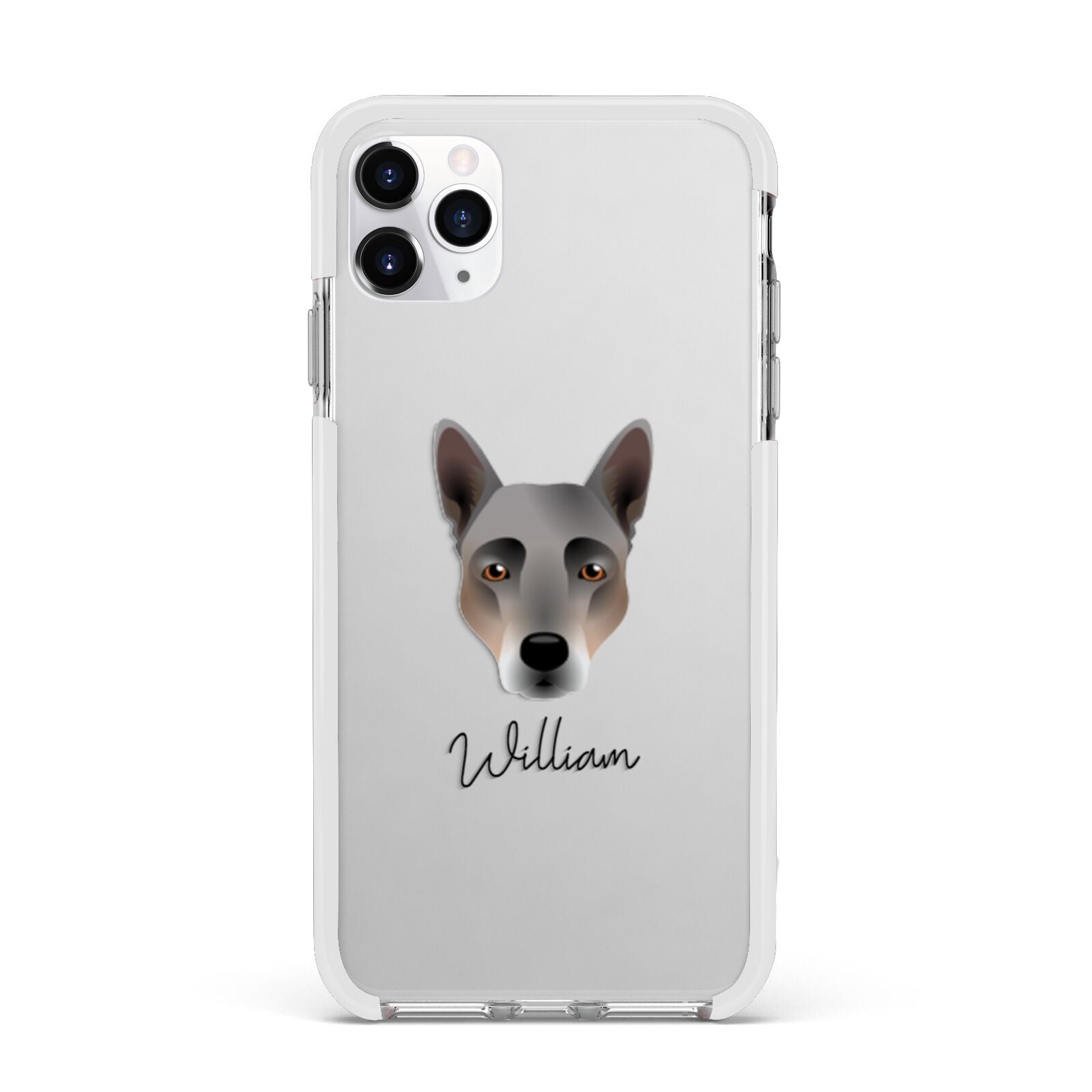 Australian Cattle Dog Personalised Apple iPhone 11 Pro Max in Silver with White Impact Case