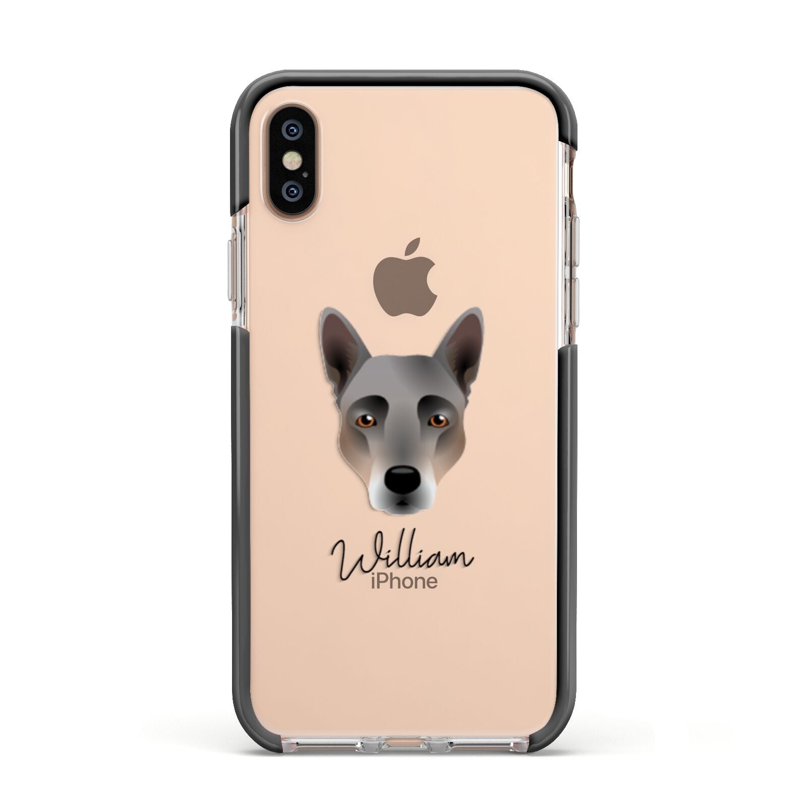Australian Cattle Dog Personalised Apple iPhone Xs Impact Case Black Edge on Gold Phone