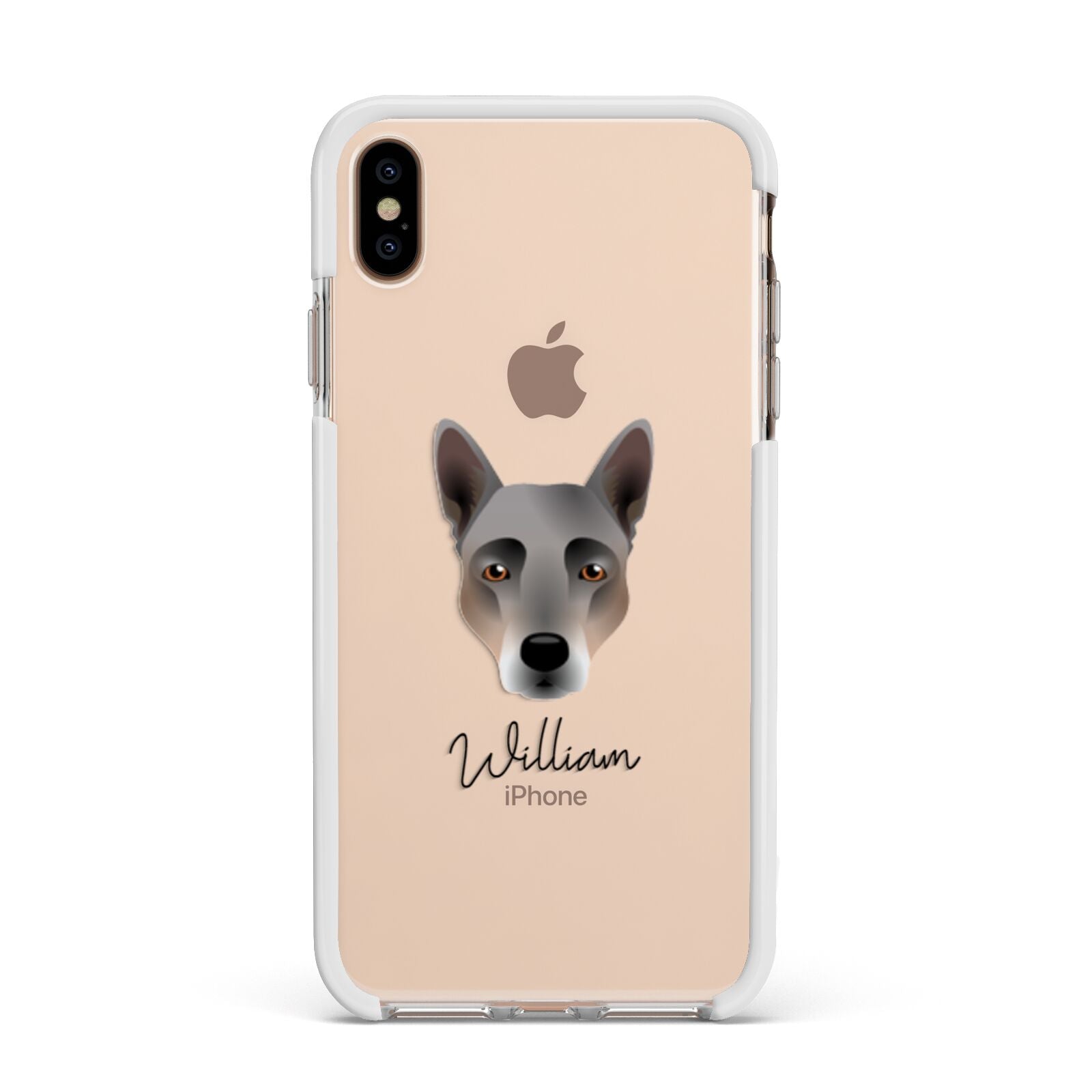 Australian Cattle Dog Personalised Apple iPhone Xs Max Impact Case White Edge on Gold Phone