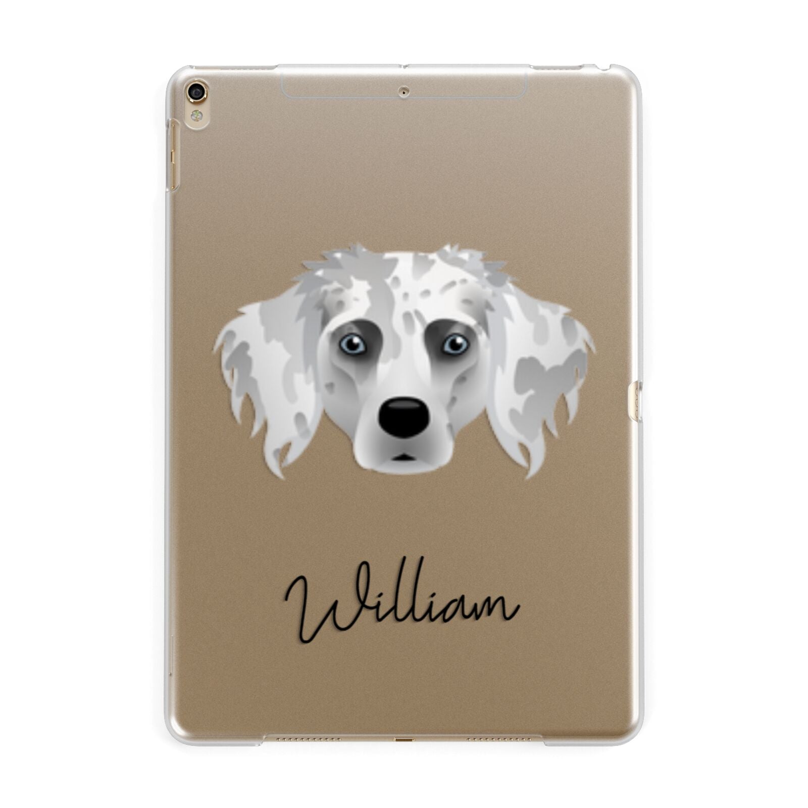Australian Shepherd Personalised Apple iPad Gold Case