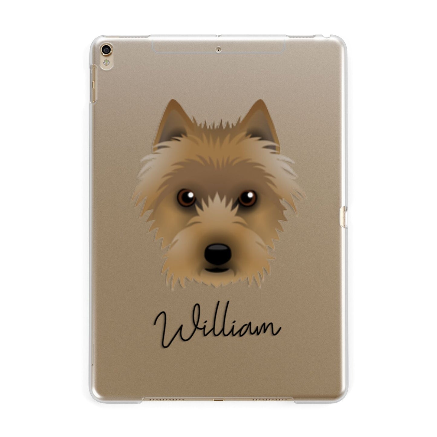 Australian Terrier Personalised Apple iPad Gold Case