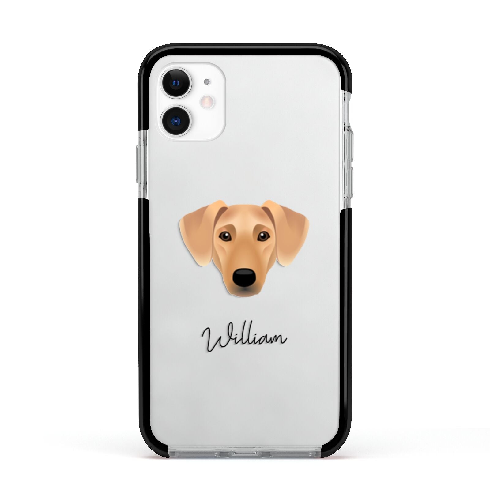 Azawakh Personalised Apple iPhone 11 in White with Black Impact Case