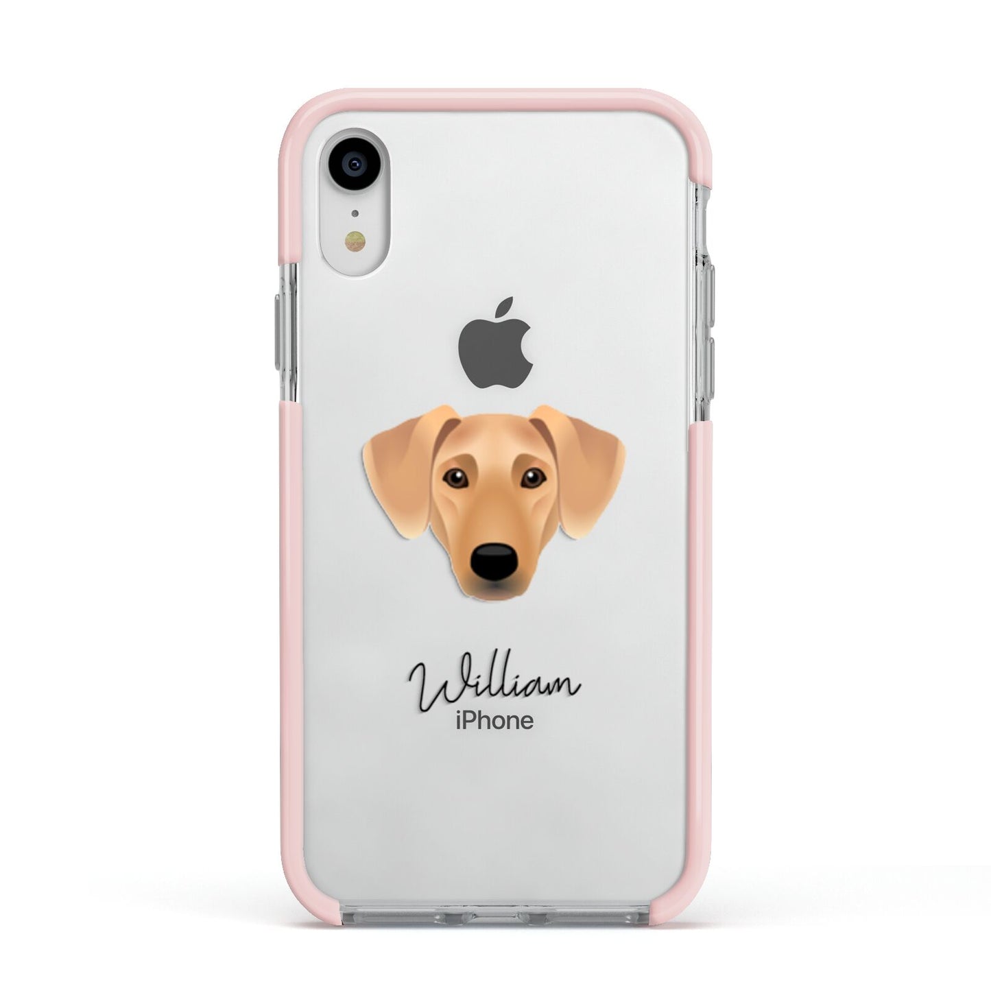 Azawakh Personalised Apple iPhone XR Impact Case Pink Edge on Silver Phone