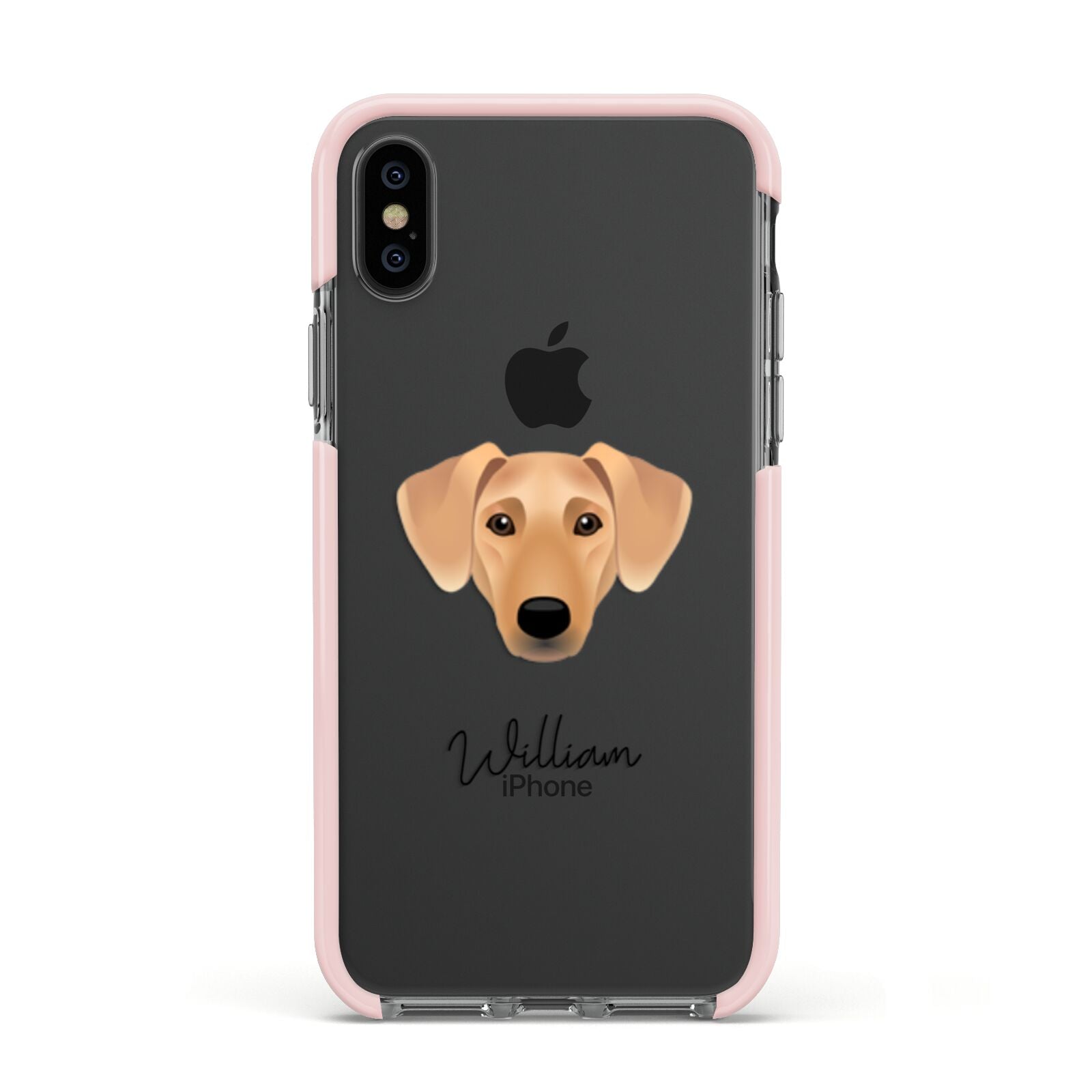 Azawakh Personalised Apple iPhone Xs Impact Case Pink Edge on Black Phone