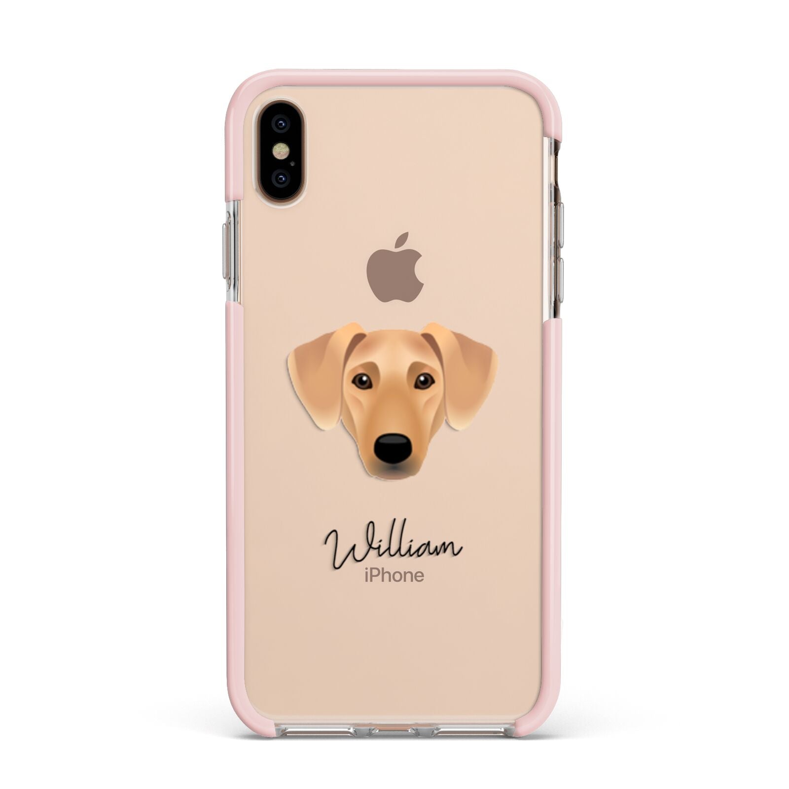 Azawakh Personalised Apple iPhone Xs Max Impact Case Pink Edge on Gold Phone