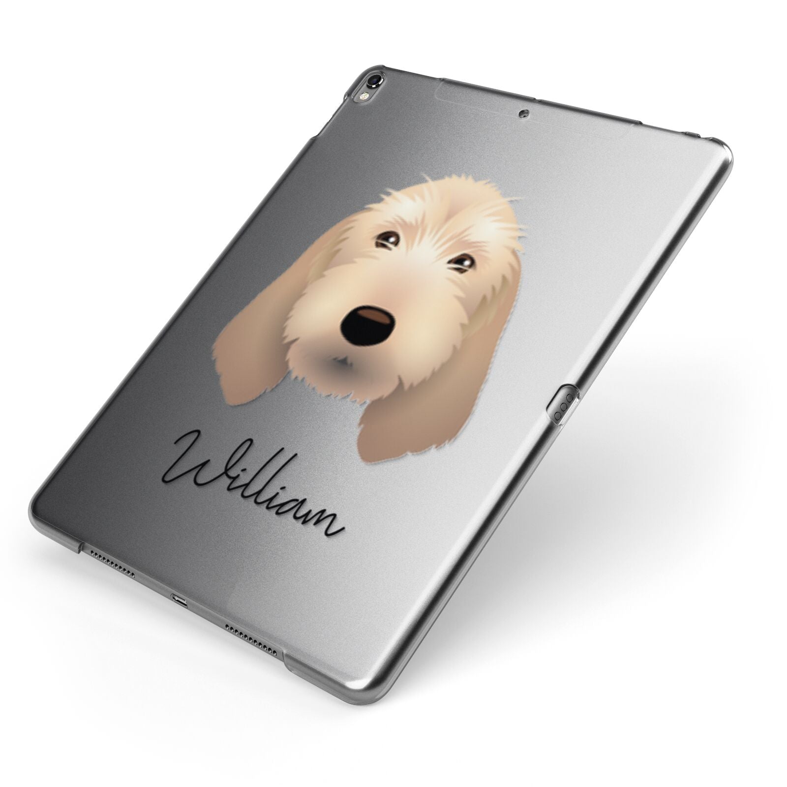 Basset Fauve De Bretagne Personalised Apple iPad Case on Grey iPad Side View