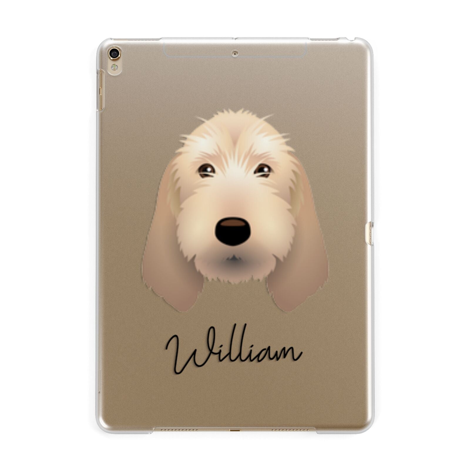Basset Fauve De Bretagne Personalised Apple iPad Gold Case