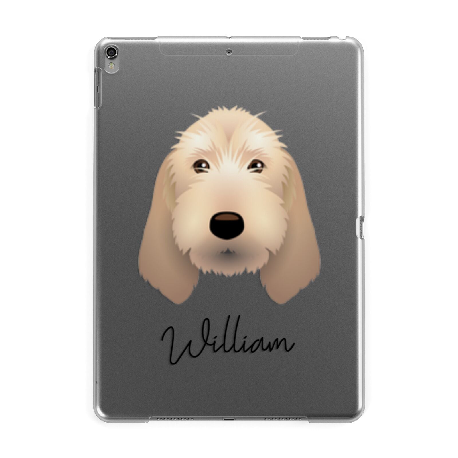 Basset Fauve De Bretagne Personalised Apple iPad Grey Case