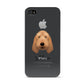 Basset Fauve De Bretagne Personalised Apple iPhone 4s Case