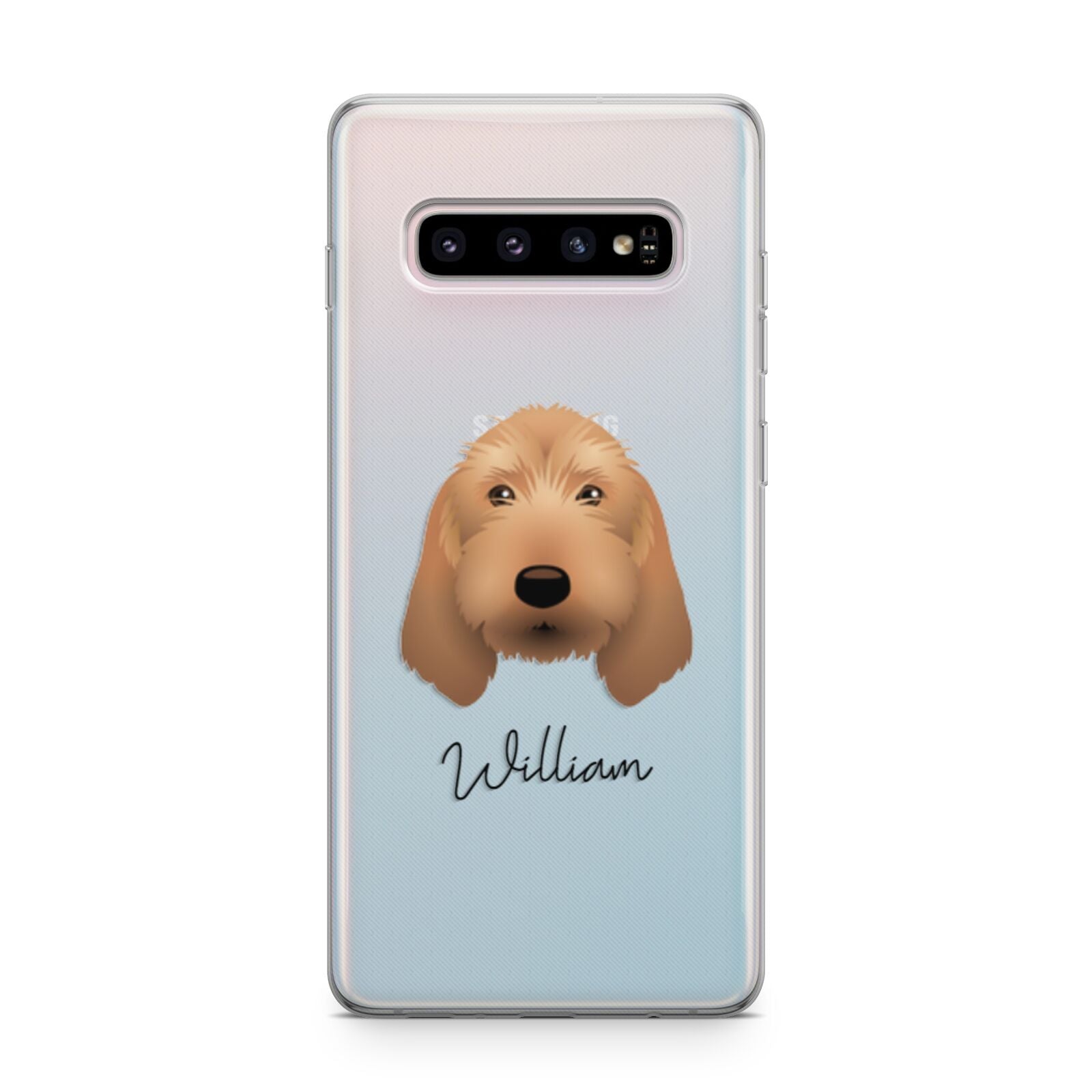 Basset Fauve De Bretagne Personalised Samsung Galaxy S10 Plus Case