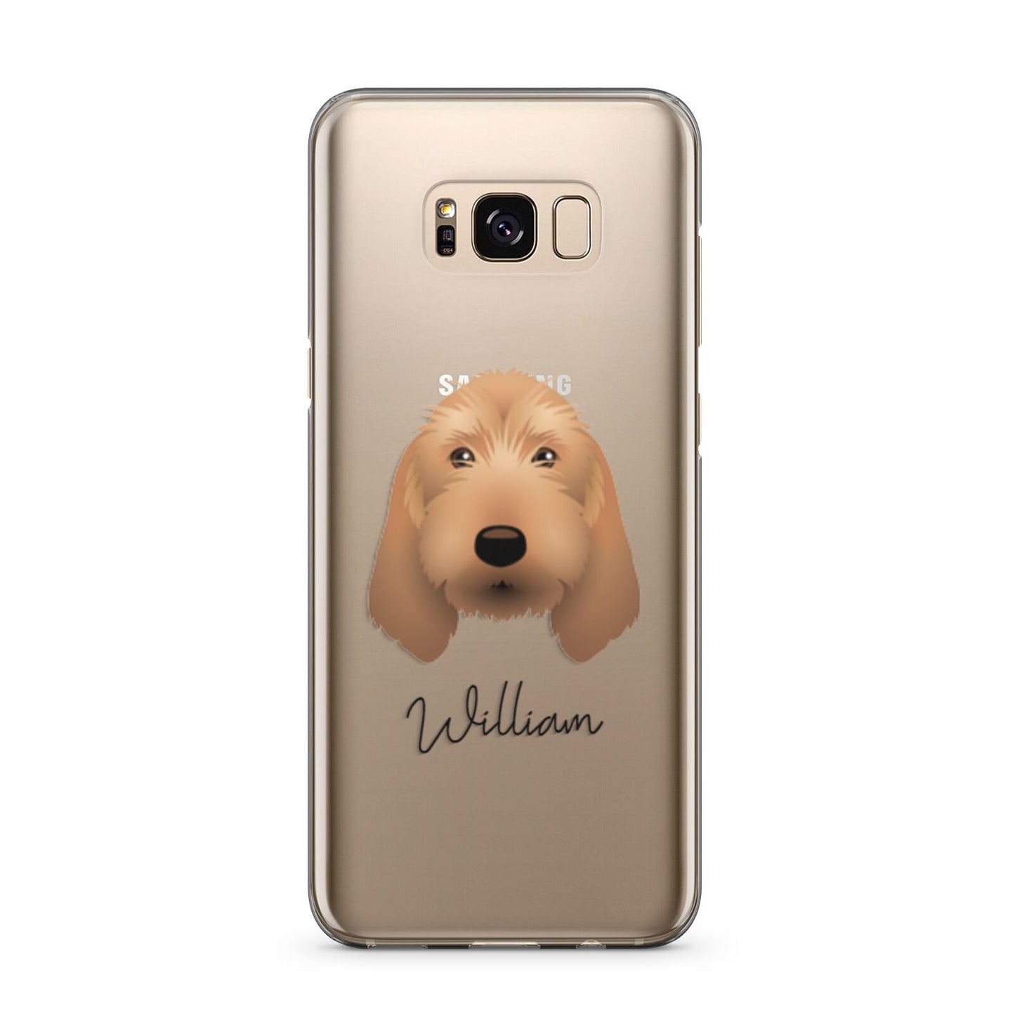 Basset Fauve De Bretagne Personalised Samsung Galaxy S8 Plus Case