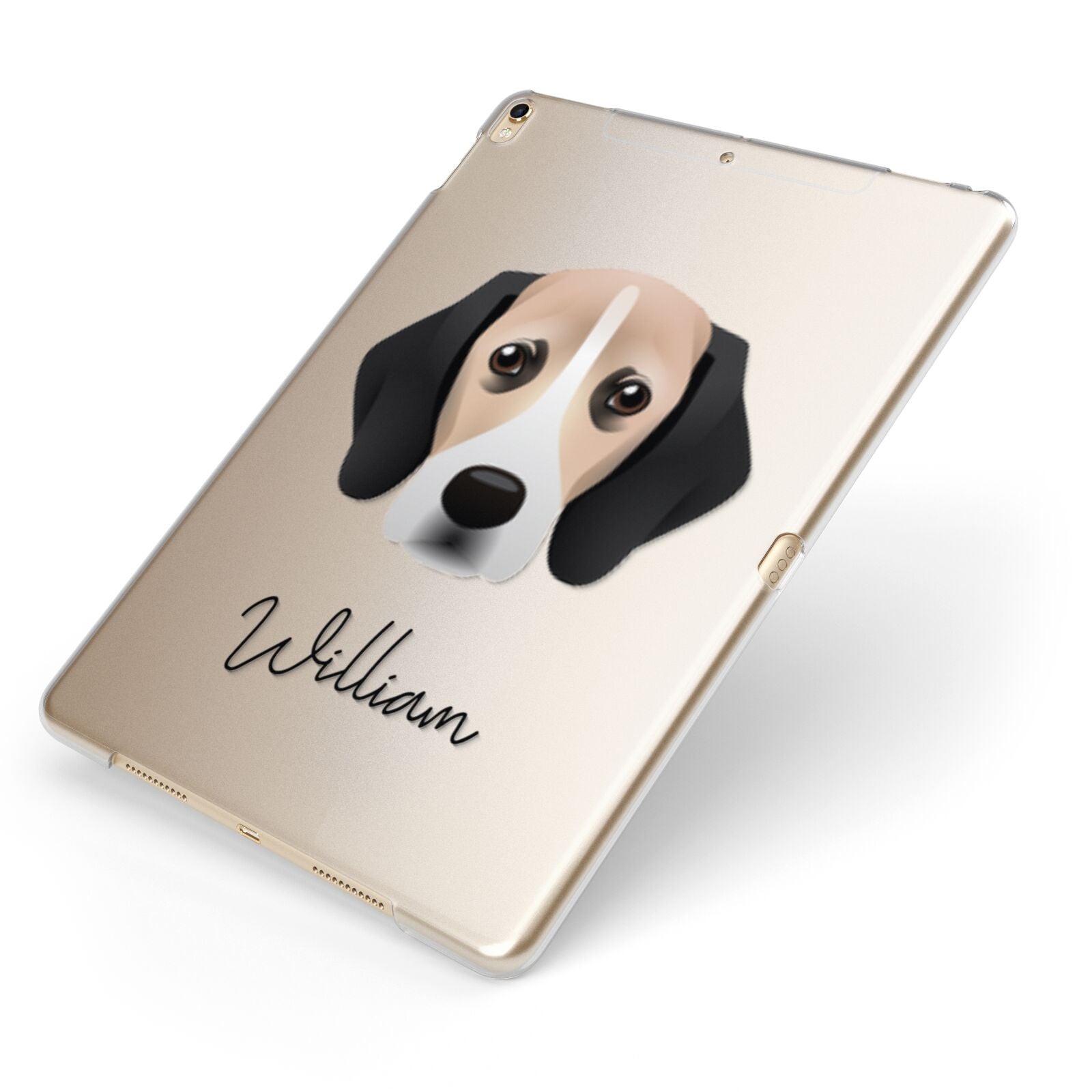 Bassugg Personalised Apple iPad Case on Gold iPad Side View