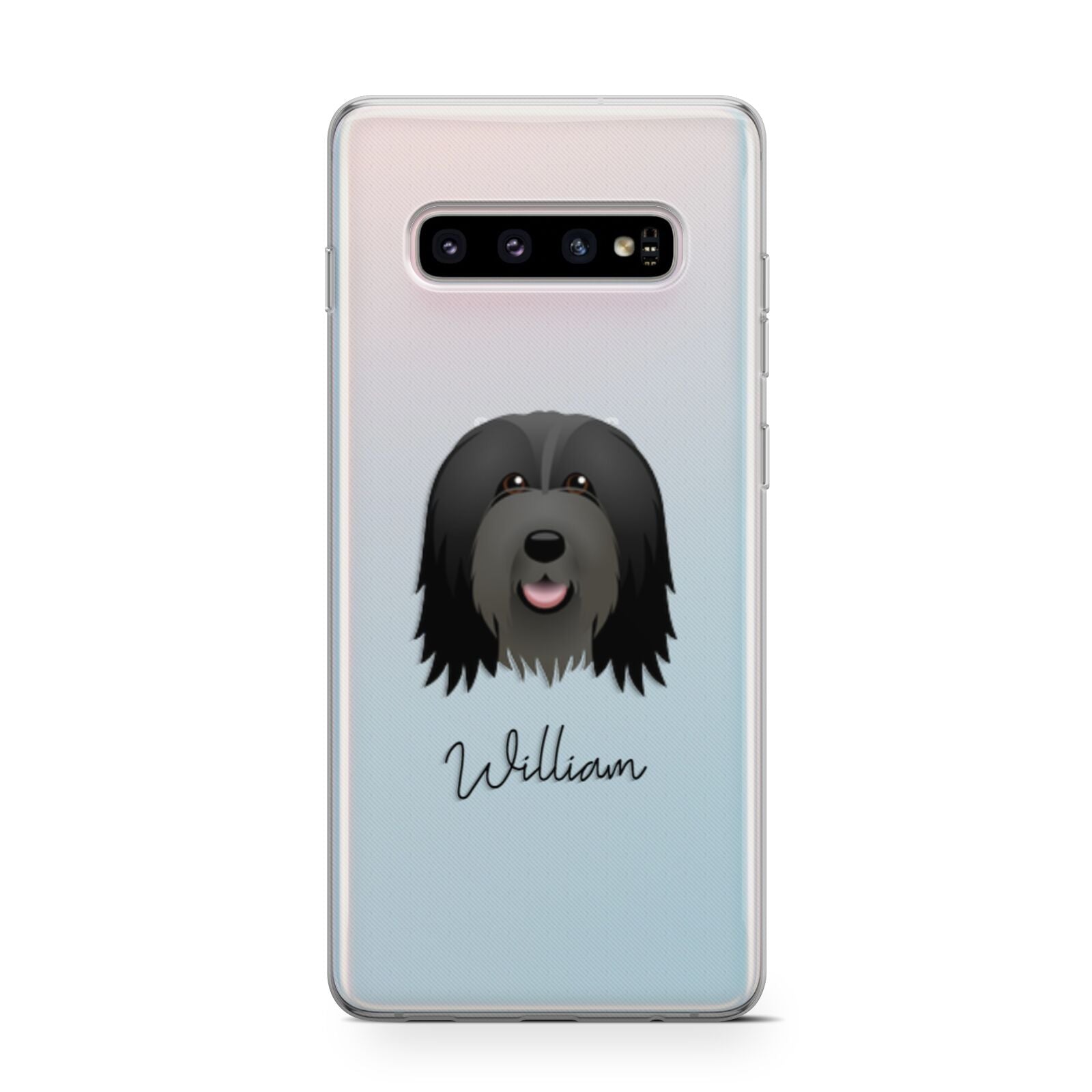Bearded Collie Personalised Samsung Galaxy S10 Case