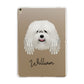 Bergamasco Personalised Apple iPad Gold Case