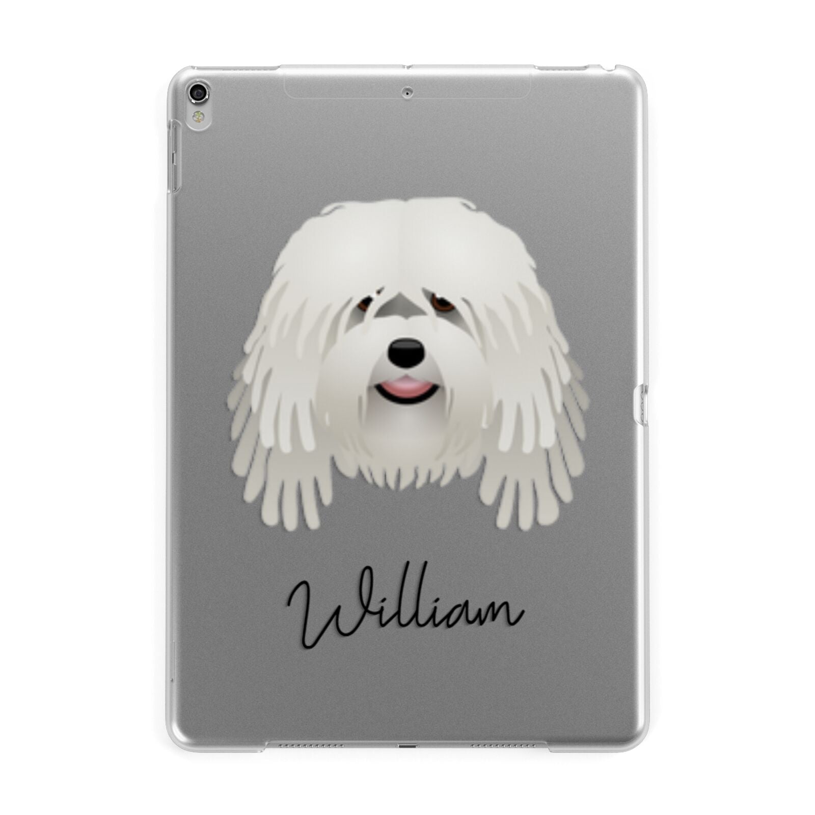 Bergamasco Personalised Apple iPad Silver Case