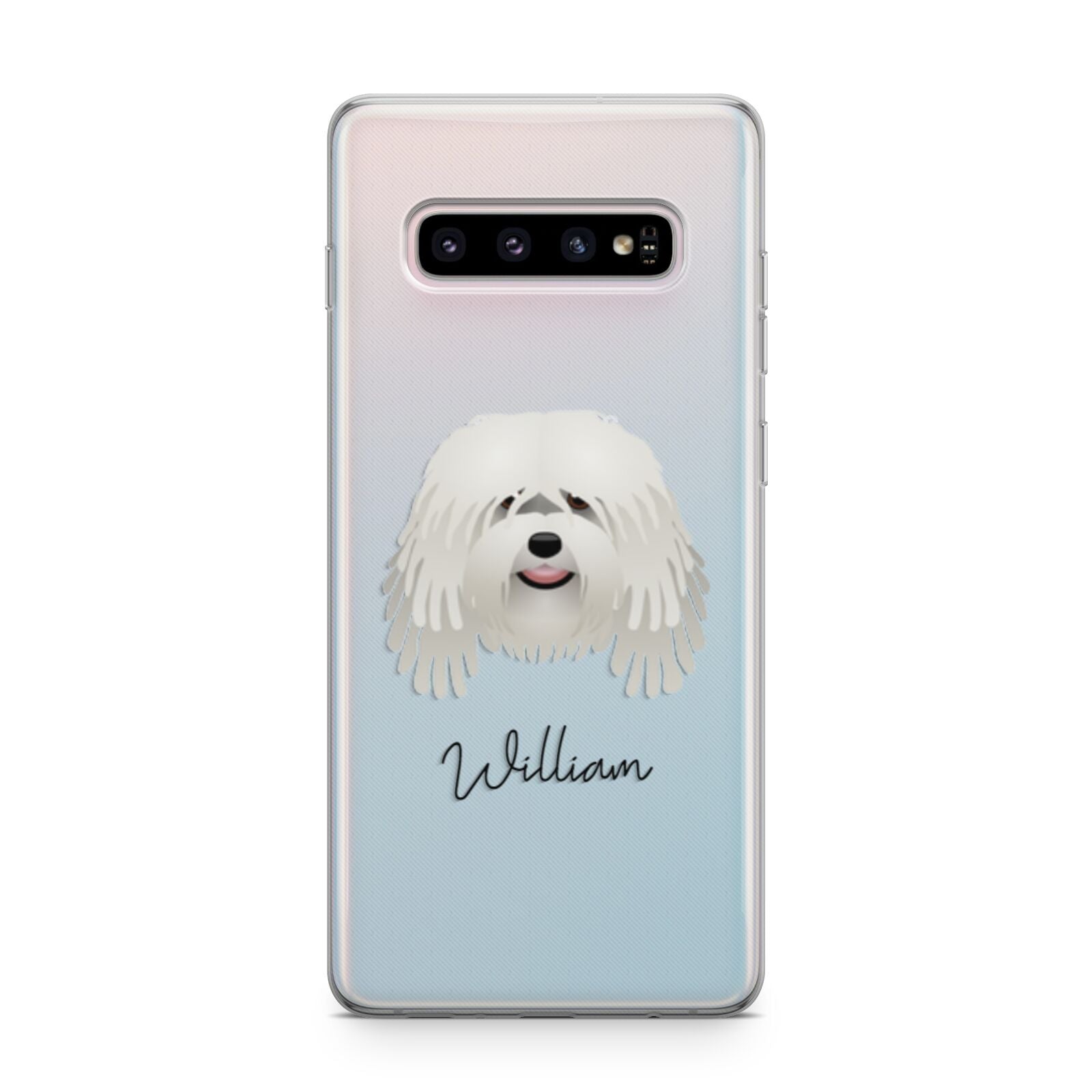 Bergamasco Personalised Samsung Galaxy S10 Plus Case