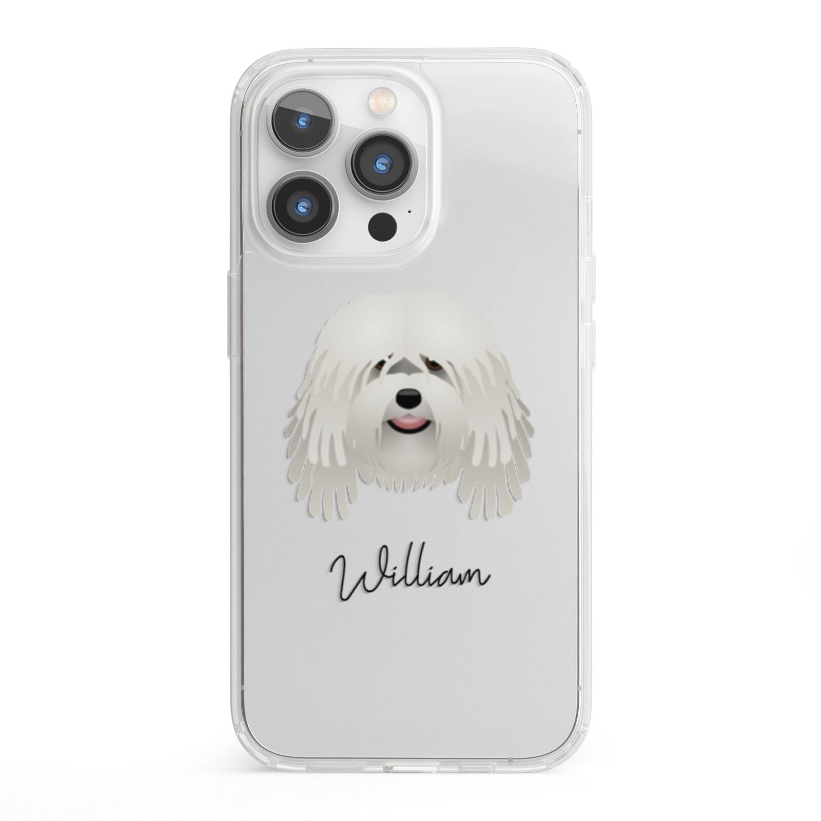 Bergamasco Personalised iPhone 13 Pro Clear Bumper Case