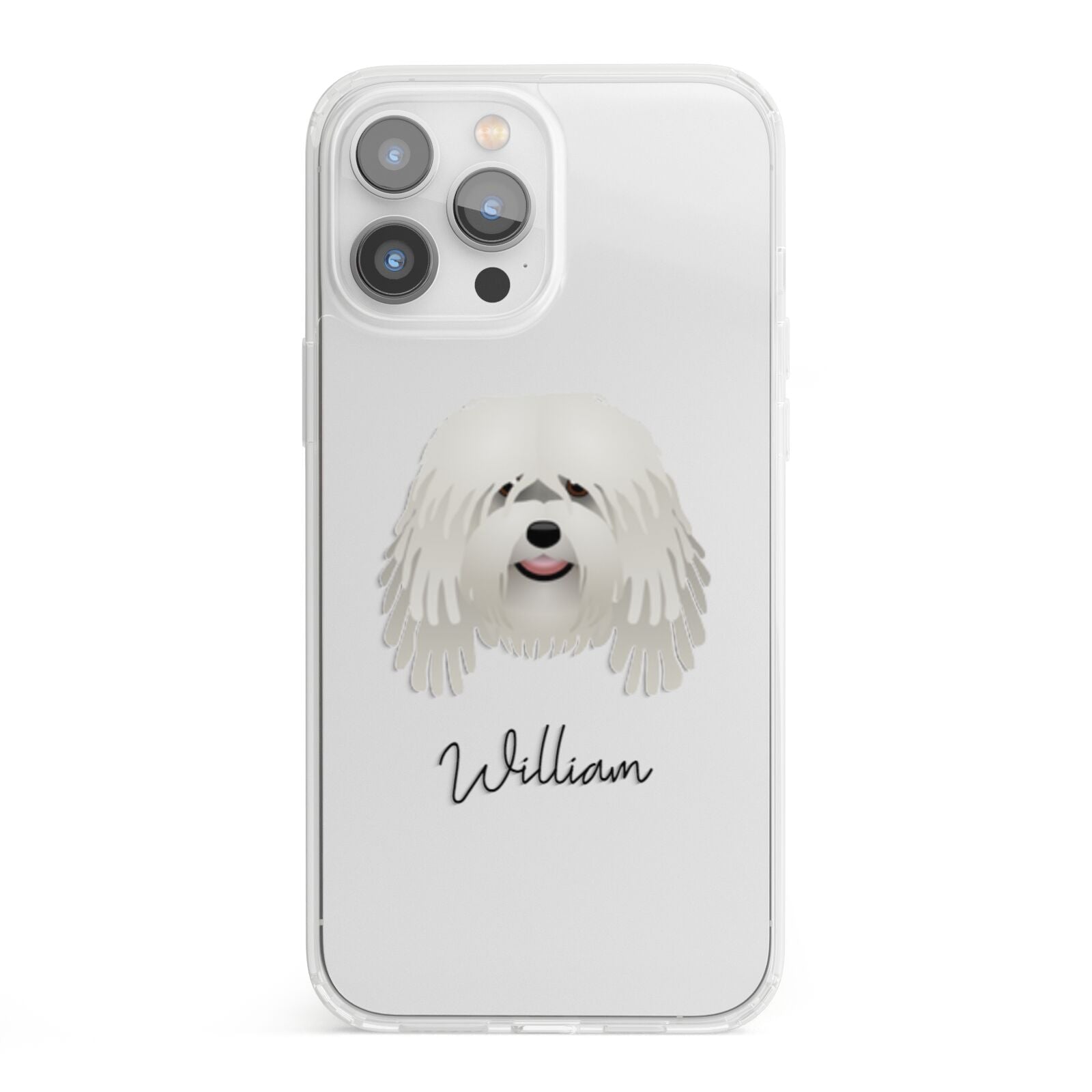 Bergamasco Personalised iPhone 13 Pro Max Clear Bumper Case