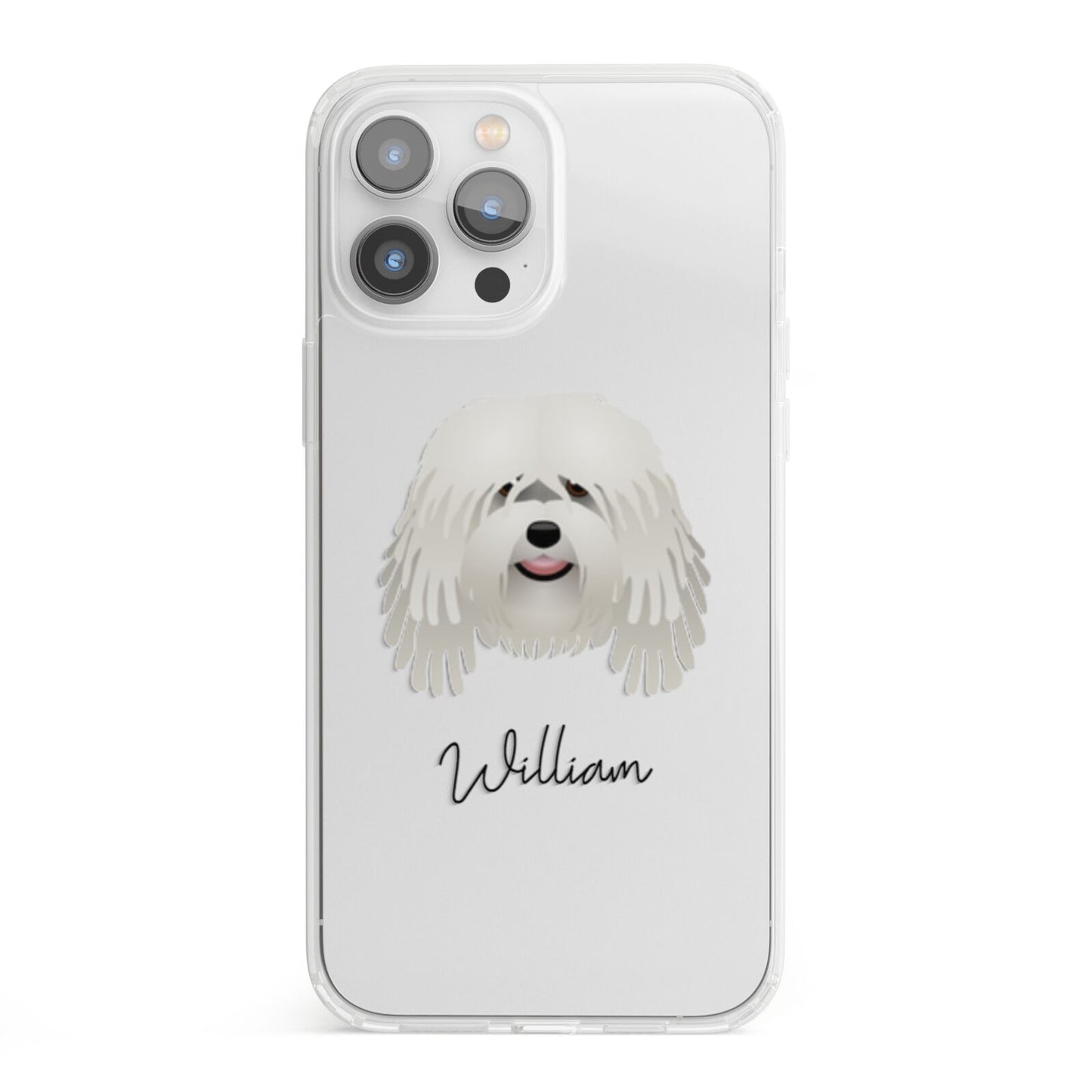 Bergamasco Personalised iPhone 13 Pro Max Clear Bumper Case