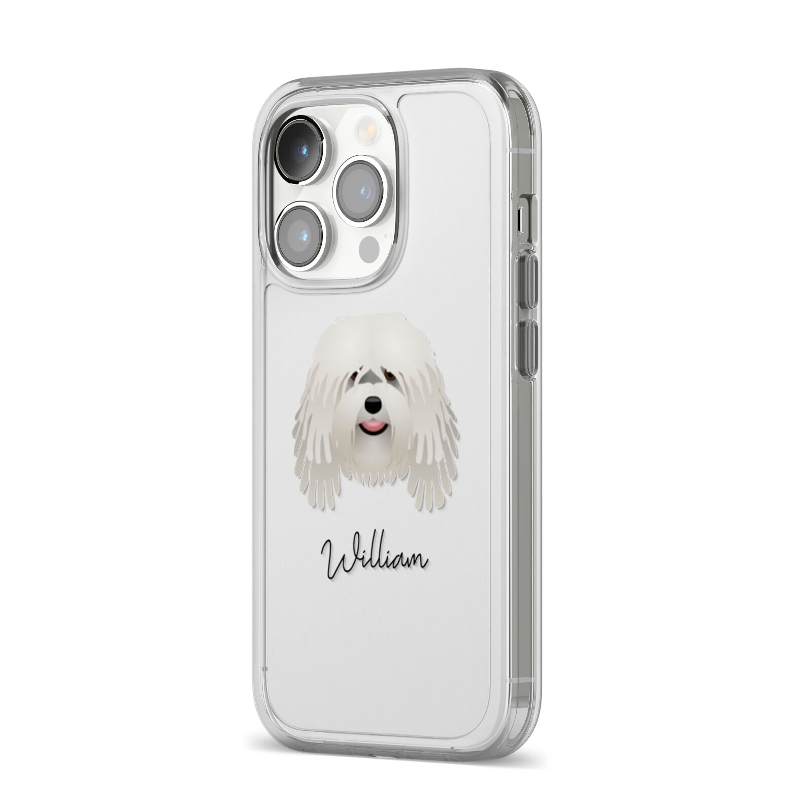 Bergamasco Personalised iPhone 14 Pro Clear Tough Case Silver Angled Image
