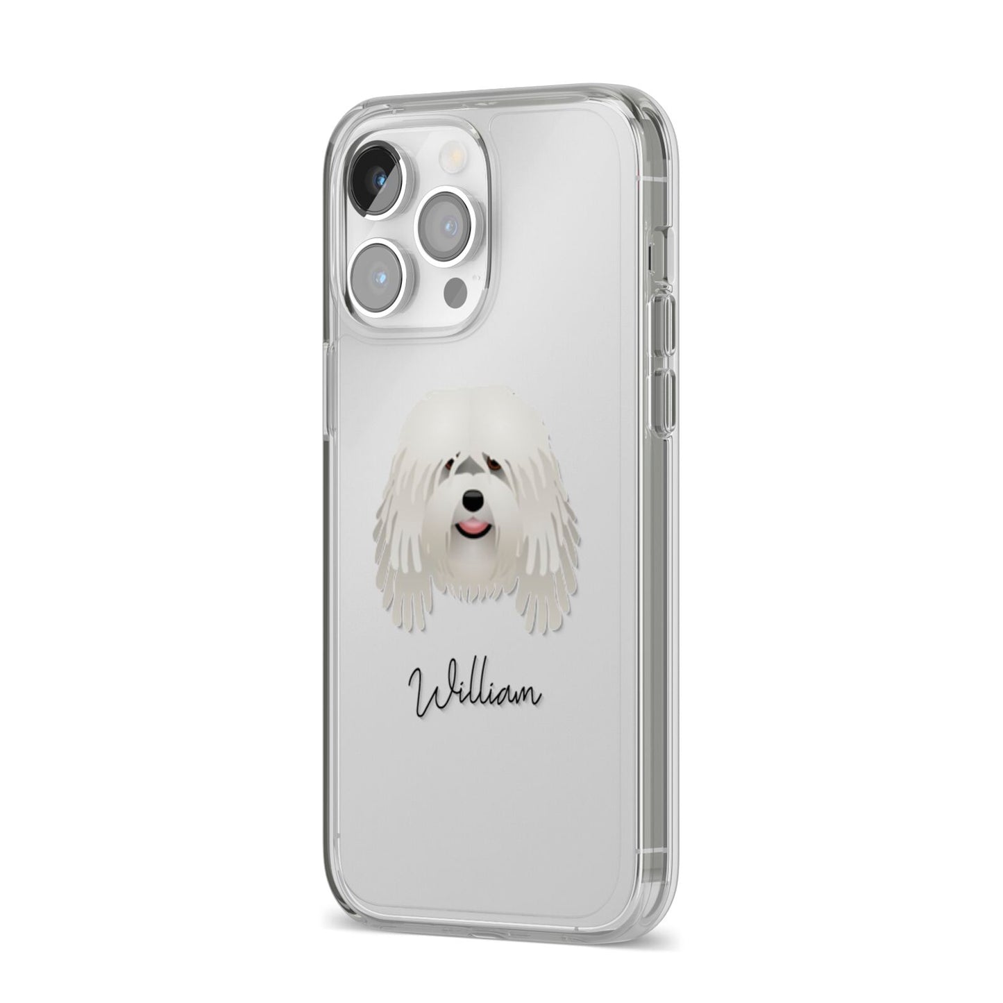 Bergamasco Personalised iPhone 14 Pro Max Clear Tough Case Silver Angled Image